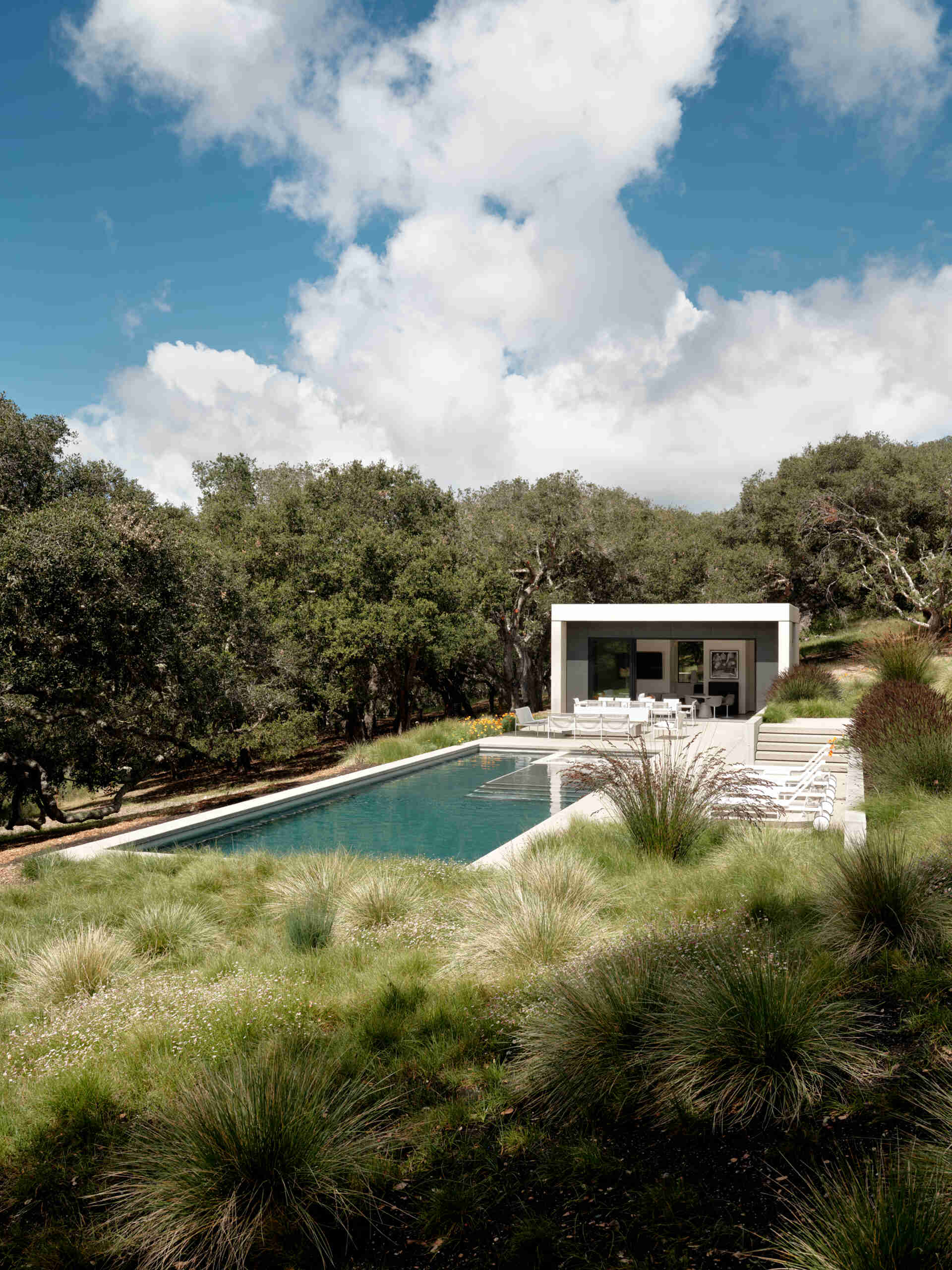 Live Oak Residence cuenta con una piscina y una caseta de piscina, creando impresionantes espacios al aire libre rodeados de césped de California.