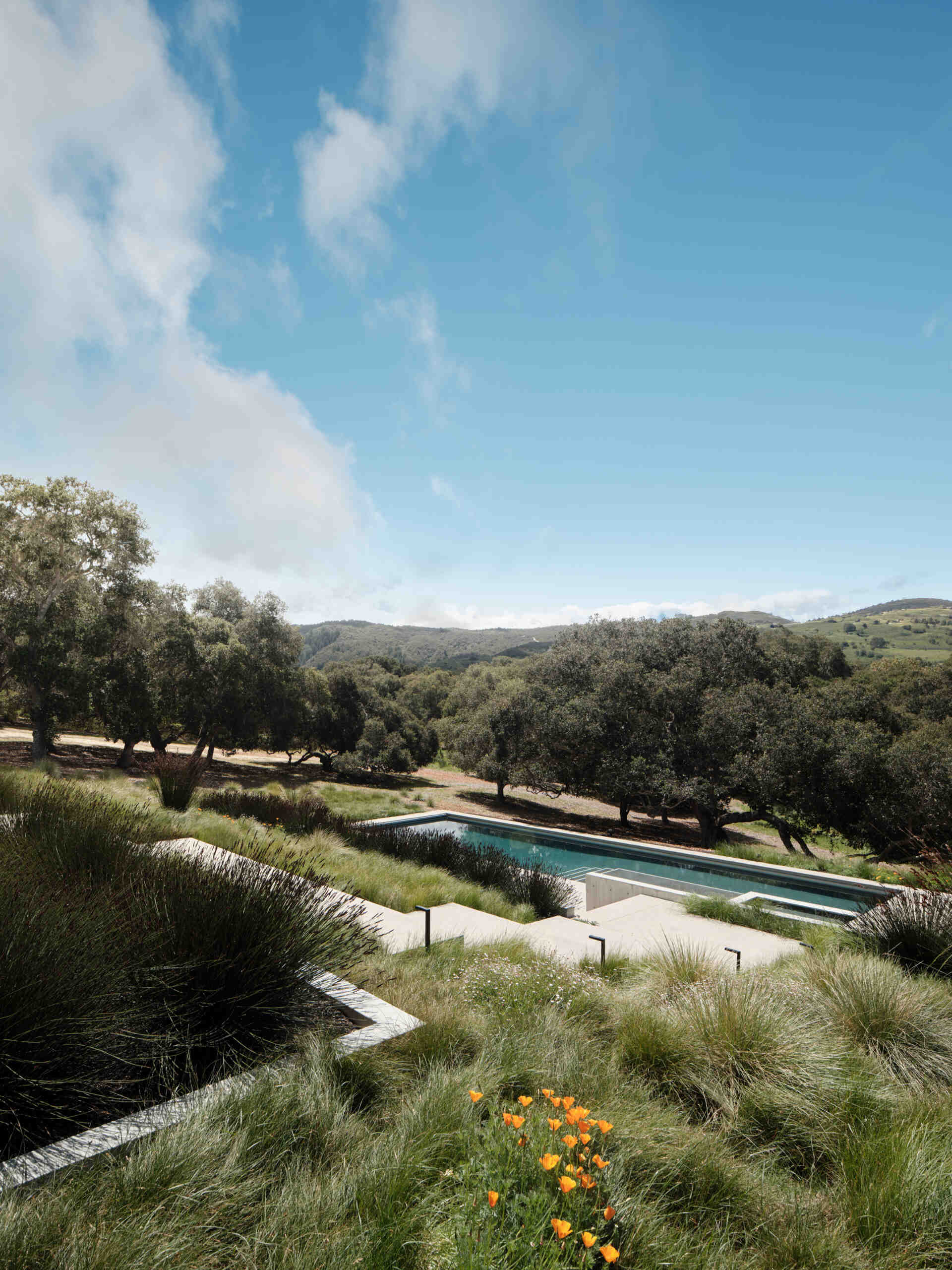 Live Oak Residence cuenta con una piscina y una caseta de piscina, creando impresionantes espacios al aire libre rodeados de césped de California.