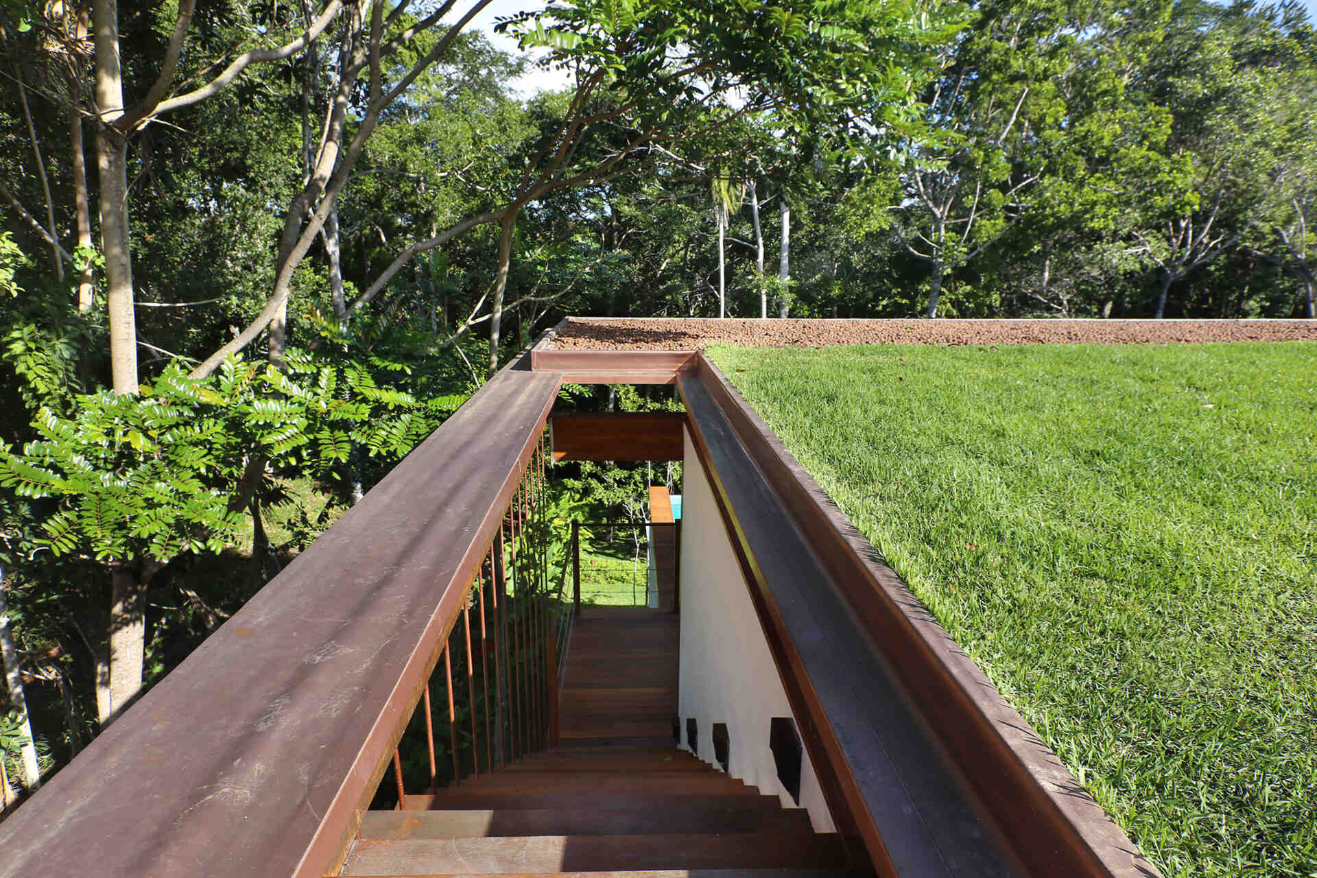 A hidden staircase leads to a rooftop lawn with panoramic forest views, while the green roof also improves the home's thermal and acoustic performance.