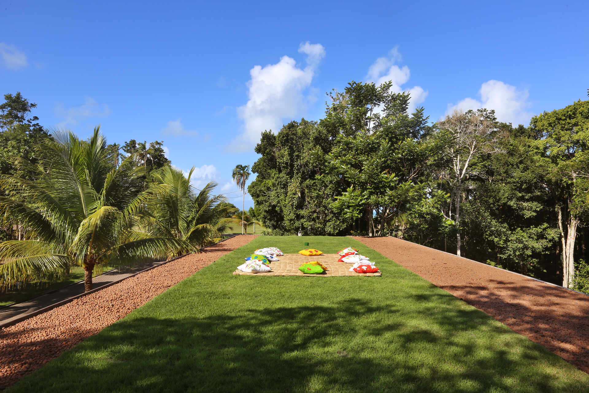 A hidden staircase leads to a rooftop lawn with panoramic forest views, while the green roof also improves the home's thermal and acoustic performance.
