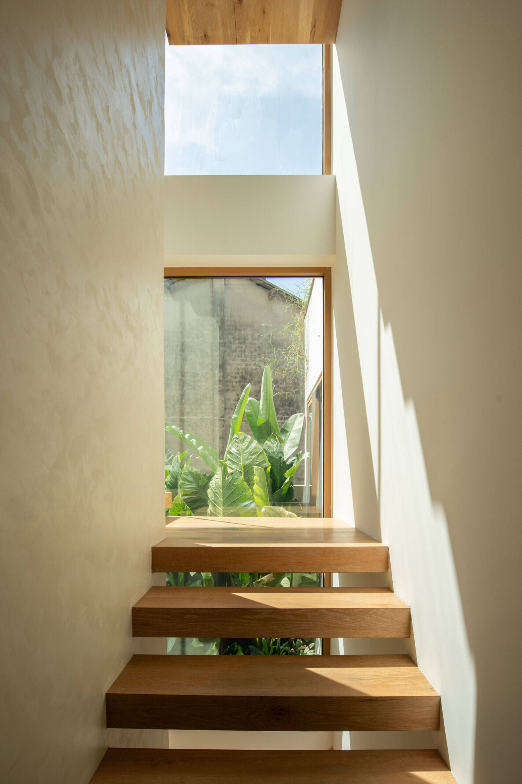 Floating timber stairs, full-height glazing and lush tropical planting transform this staircase into one of the home's most beautiful architectural moments.