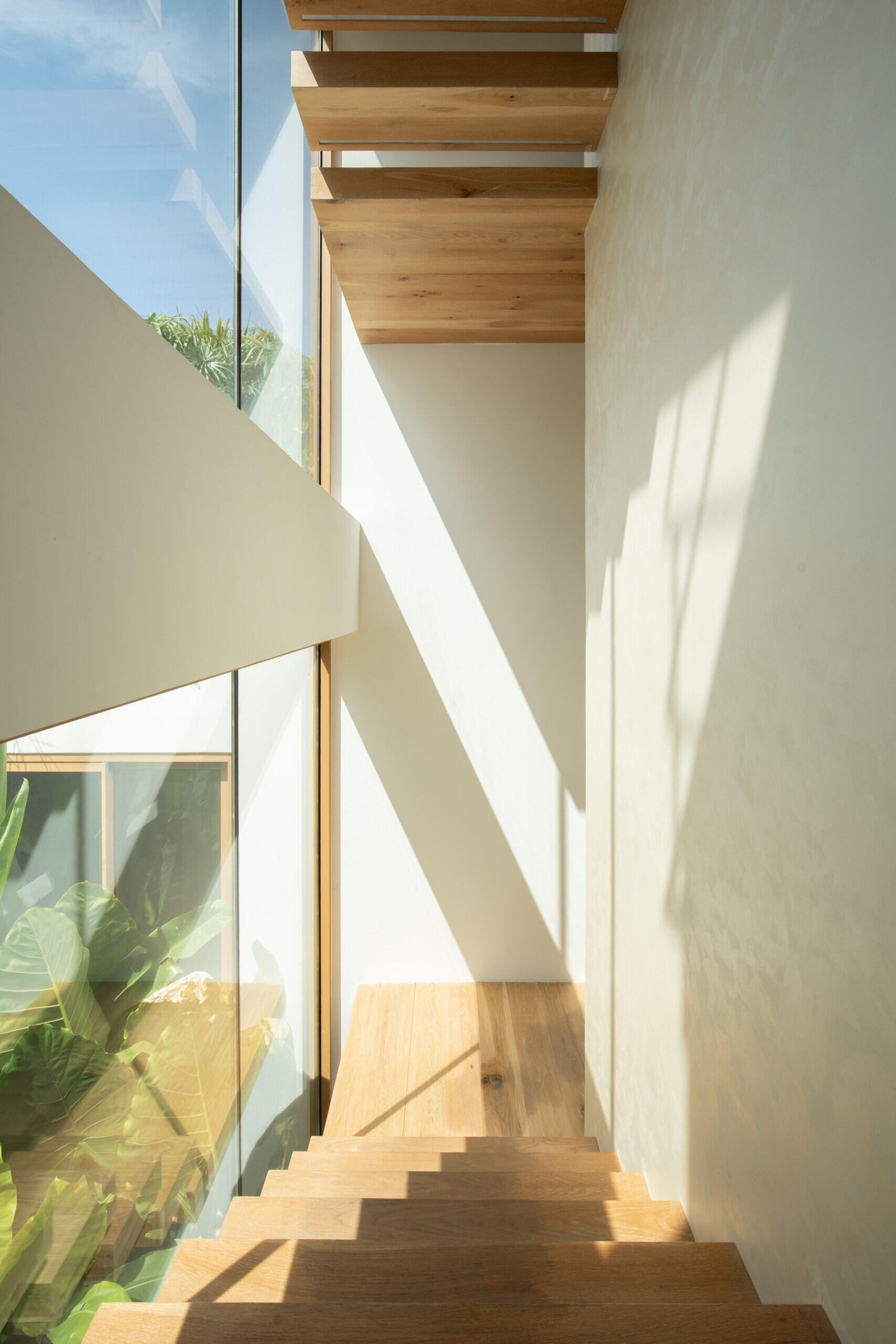 Floating timber stairs, full-height glazing and lush tropical planting transform this staircase into one of the home's most beautiful architectural moments.