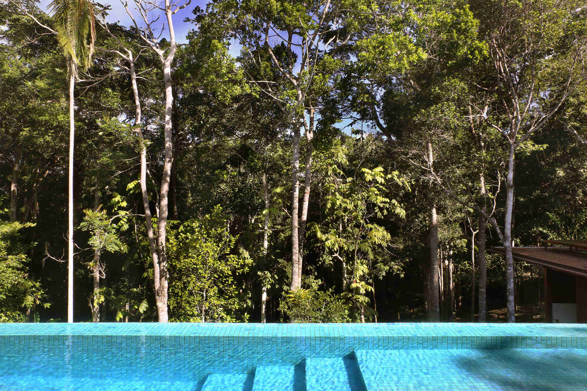 An infinity pool floats above the Atlantic Forest while a generous timber deck and wraparound bench create the perfect outdoor entertaining space.