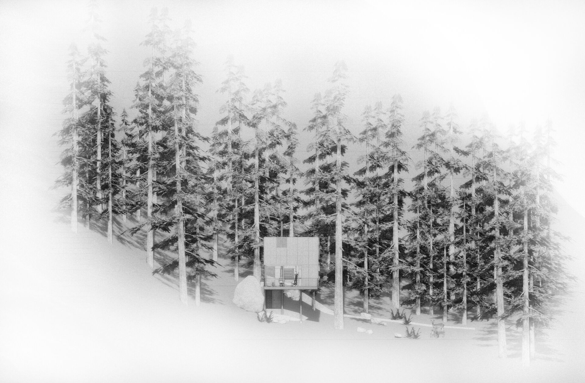 A tiny guest house suspended above the forest with panoramic views of Washington's Salish Sea.