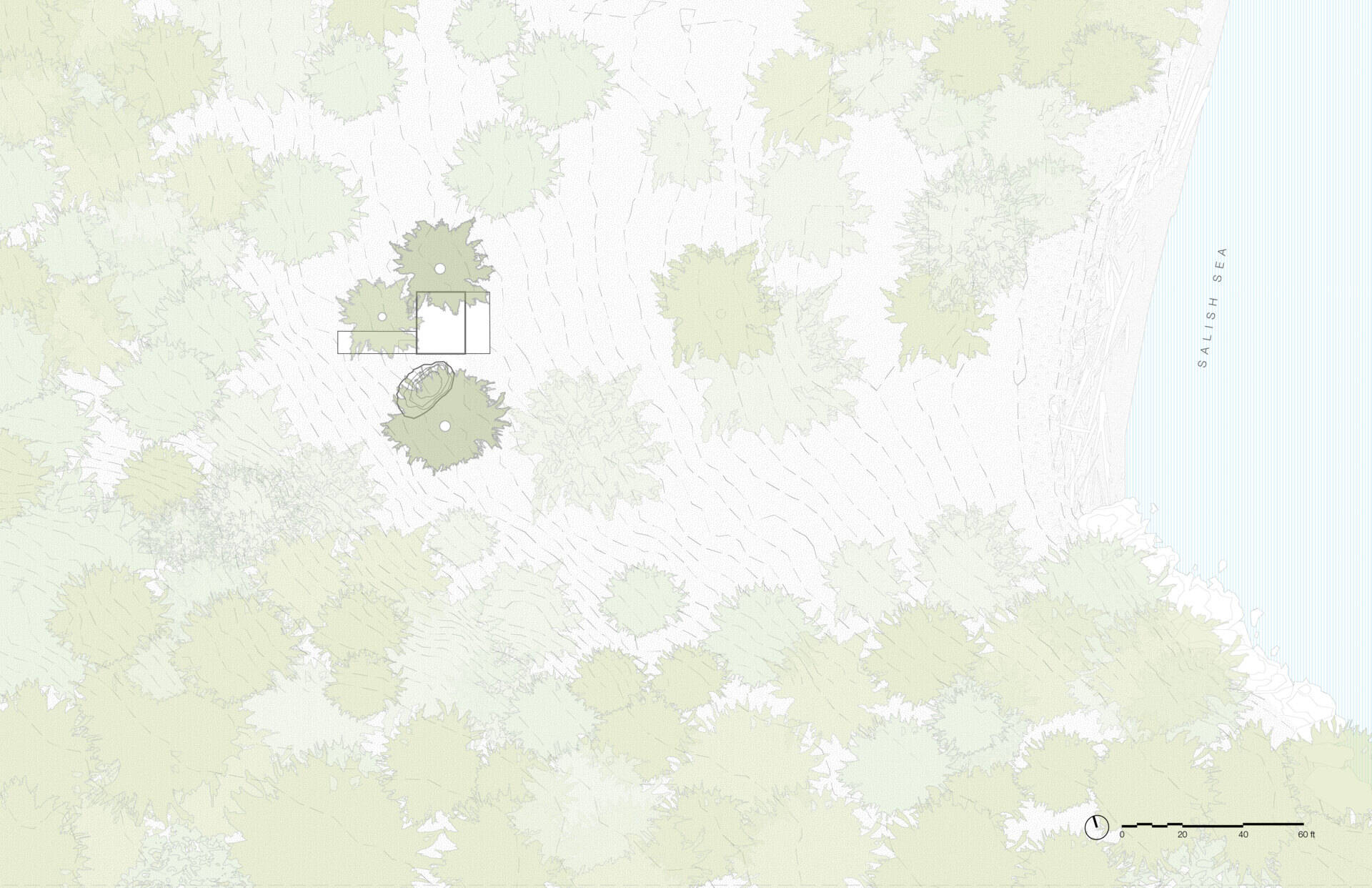 A tiny guest house suspended above the forest with panoramic views of Washington's Salish Sea.