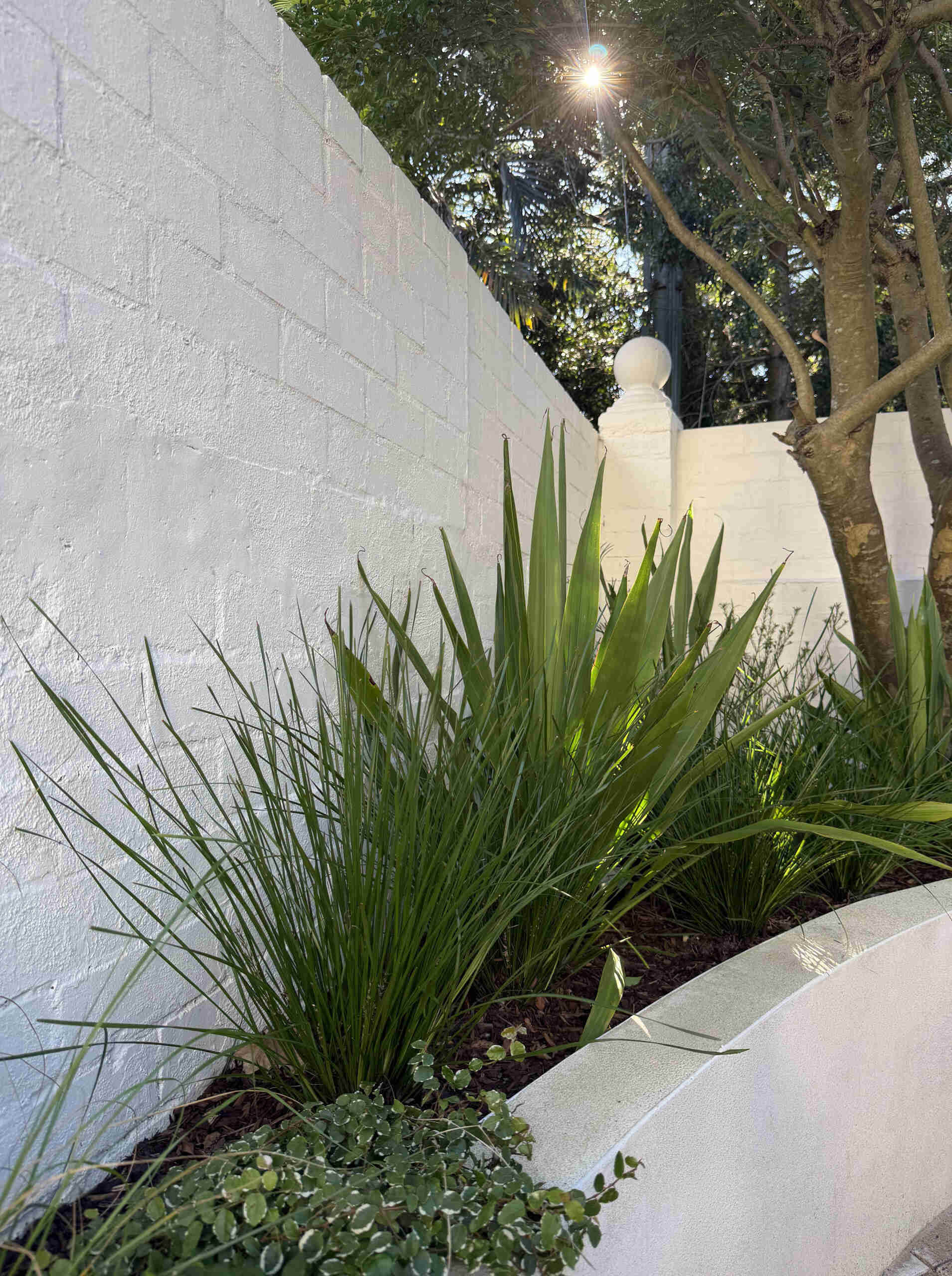 From reclaimed diagonal paving to handcrafted brickwork and evolving greenery, every detail adds character to this Sydney garden renovation.