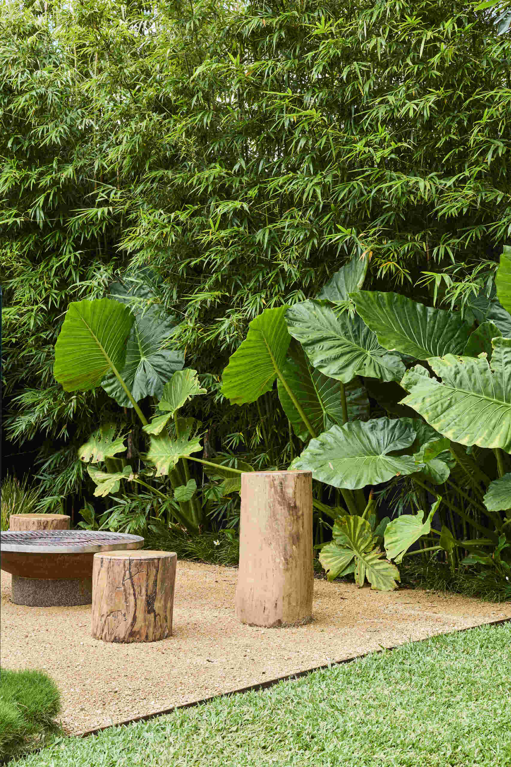 The firepit at Sasso Nero sits within a lush garden surrounded by bamboo and broad-leafed plants, with simple timber stump seats creating an informal outdoor gathering area.