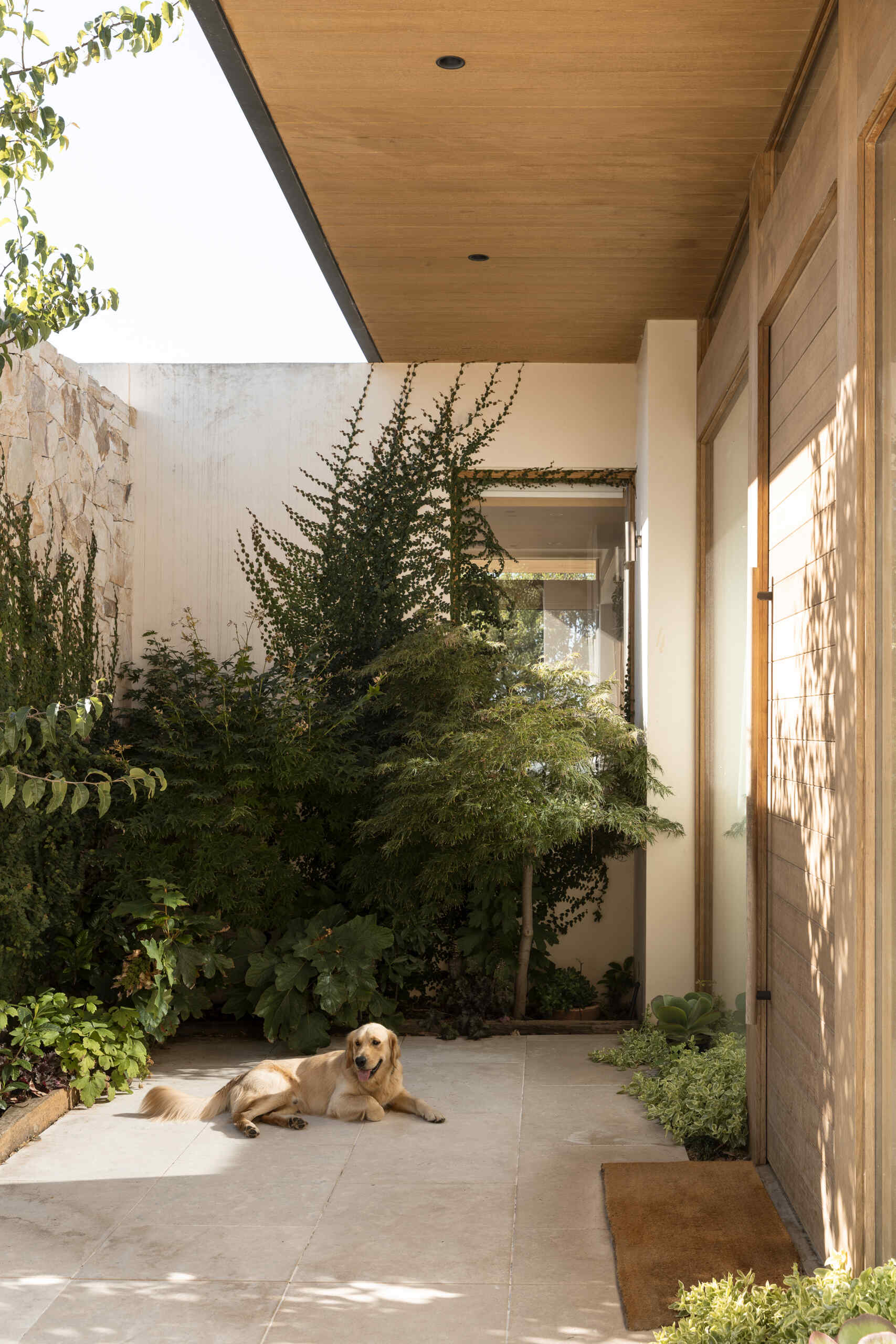 Step inside Smoke Bush House and explore an entry experience shaped by natural materials, soft light and visual connections with the landscape surrounding the property.