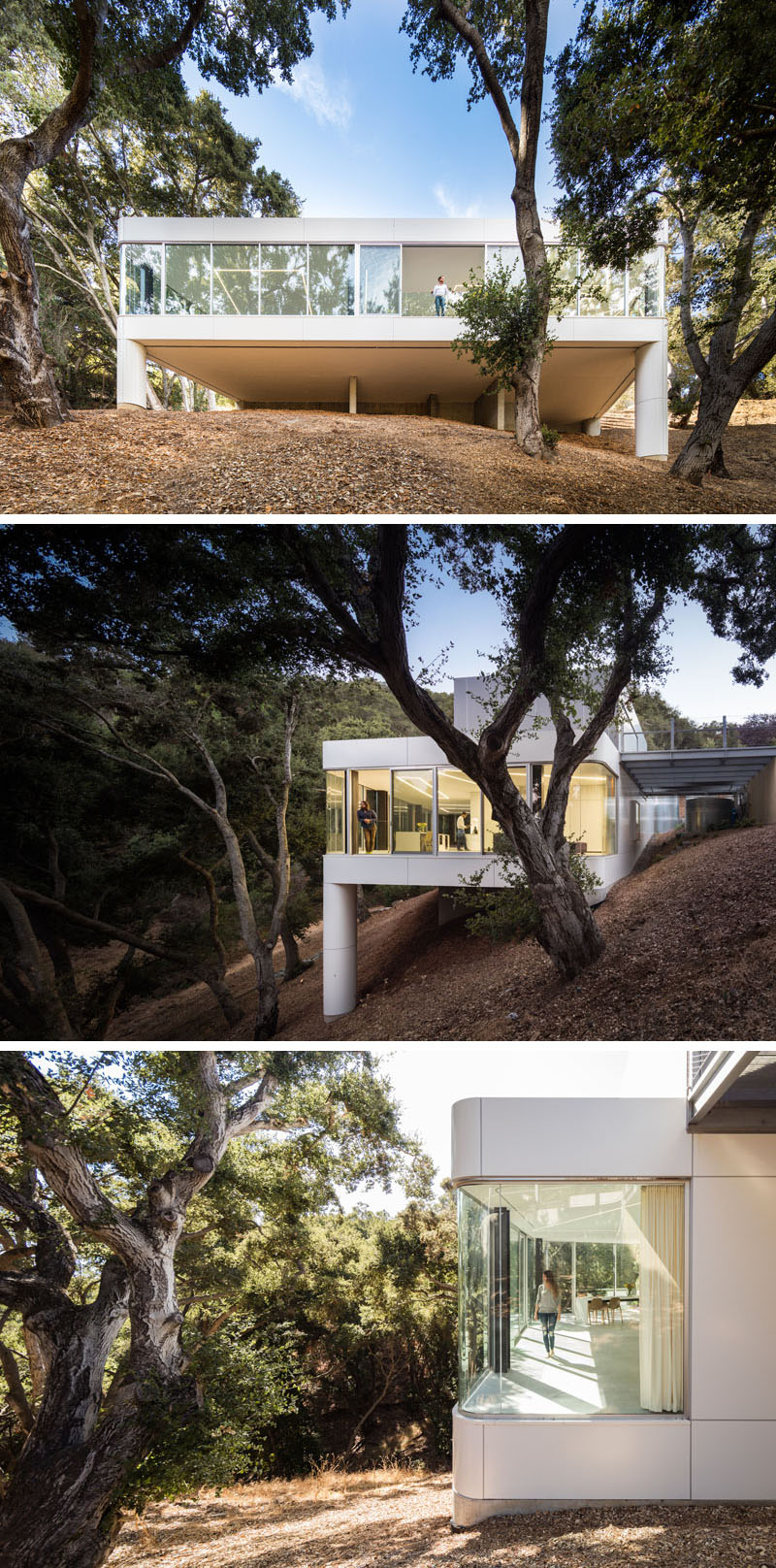 Explore the unusual arrival to this Cupertino glass house, where a steel-grating bridge leads across the site to a native grass-covered roof and observation deck among the oak trees.