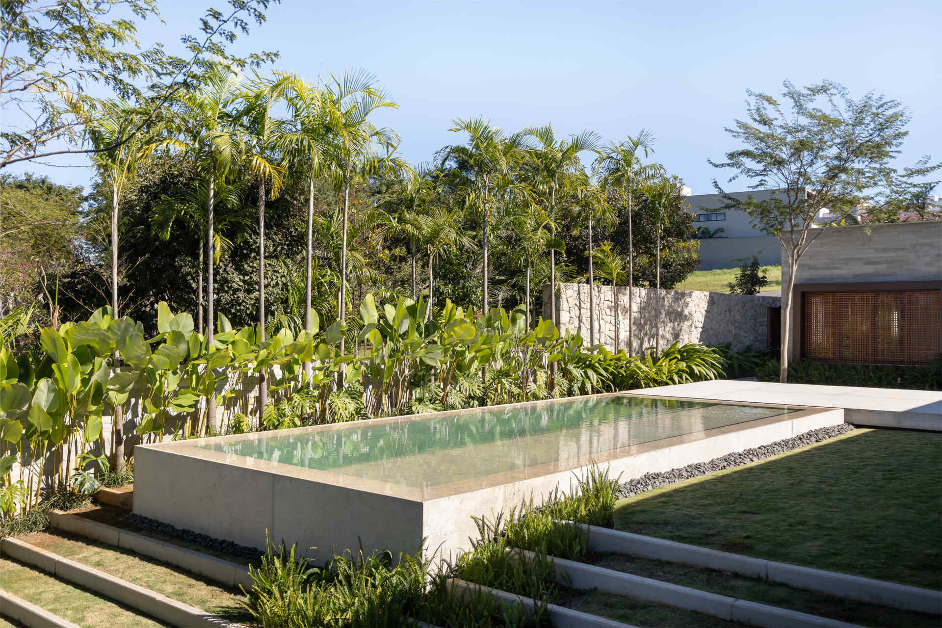 The rectangular pool at Casa da Mata sits among tall palms, broad green leaves, a simple lawn and pale concrete edges, with a textured stone boundary wall creating a private tropical setting.