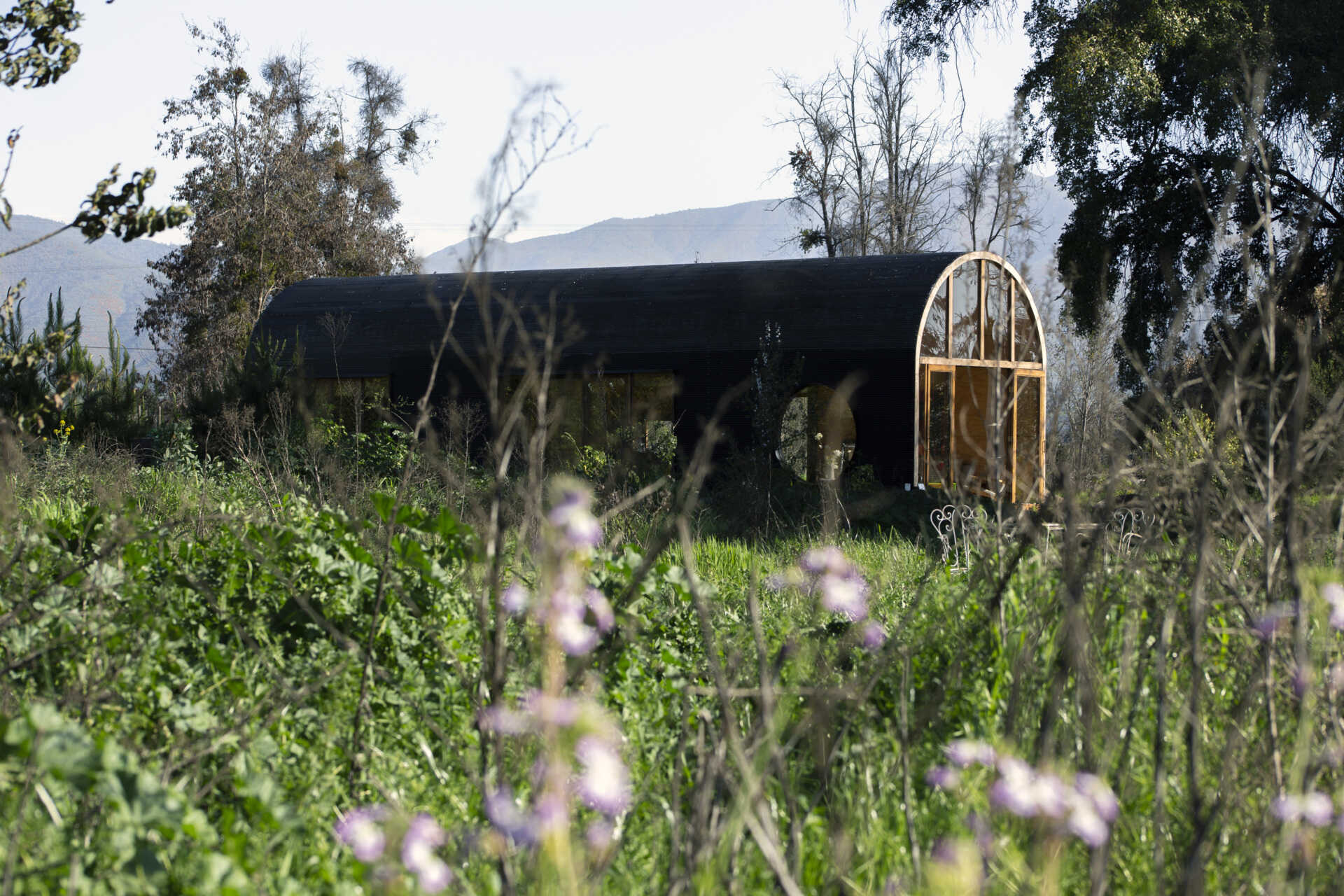 Catalejo by Tololo Ugarte is a circular tiny house elevated above the ground so seasonal grasses can grow beneath it, while its shape frames a forest of centuries-old trees.