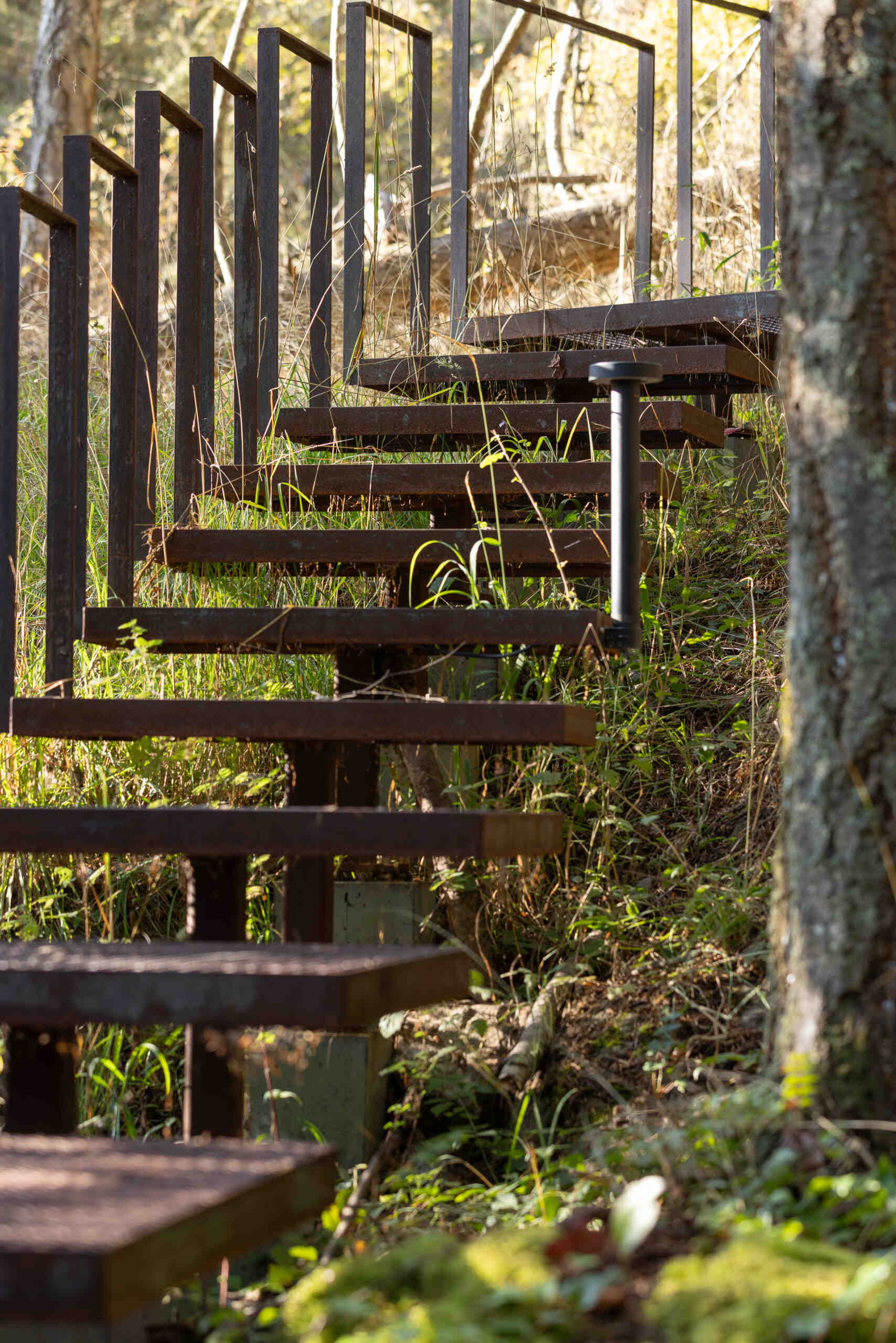 Explore the exterior details of this elevated forest cabin, from its outdoor circulation and ipe decking to Western red cedar siding and powder-coated steel elements.