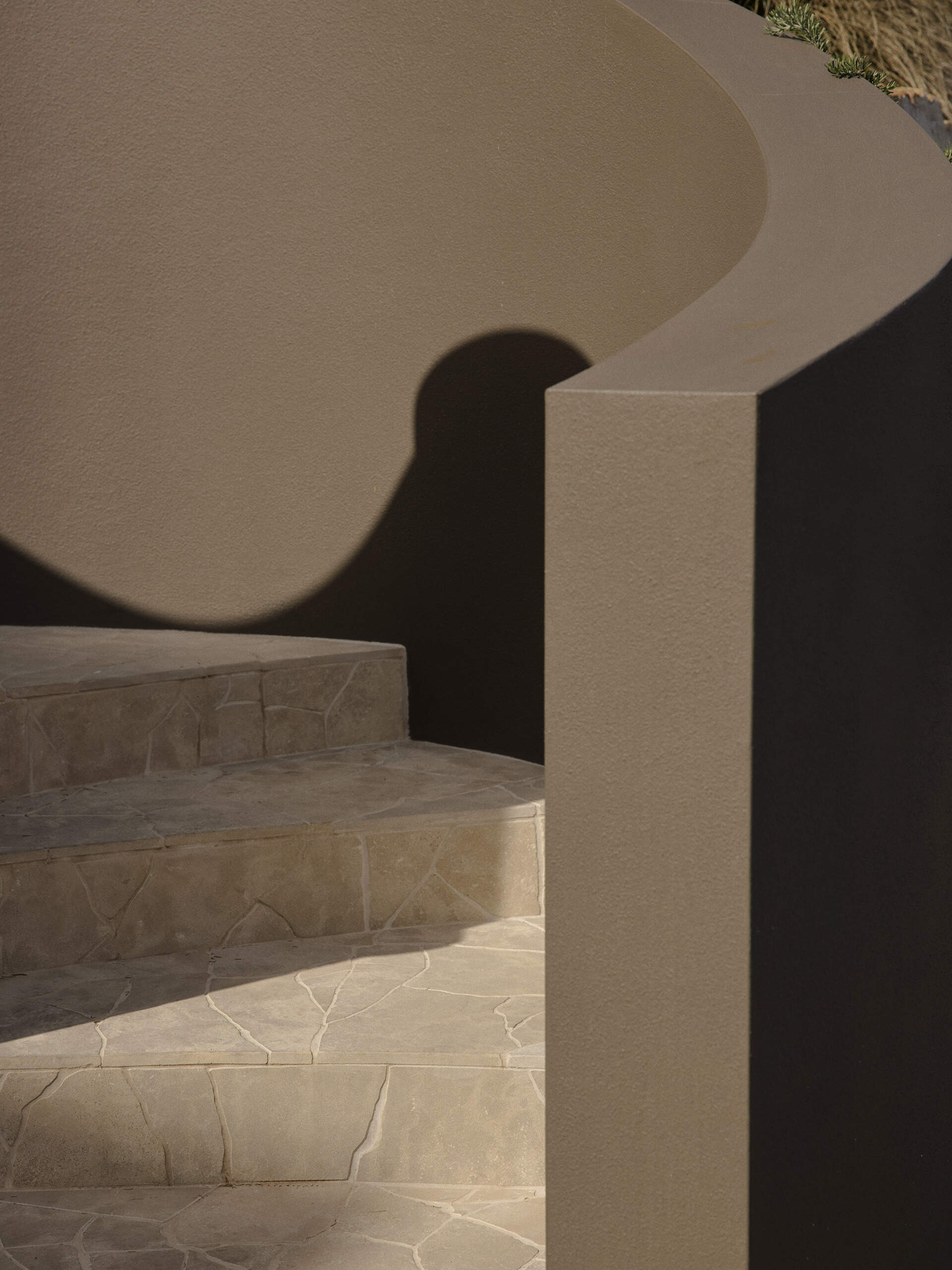 Curved taupe stucco walls, pale stone steps and lush planting create a sculptural entrance to this Byron Bay home, softened by a mature grass tree and touches of purple flowers.