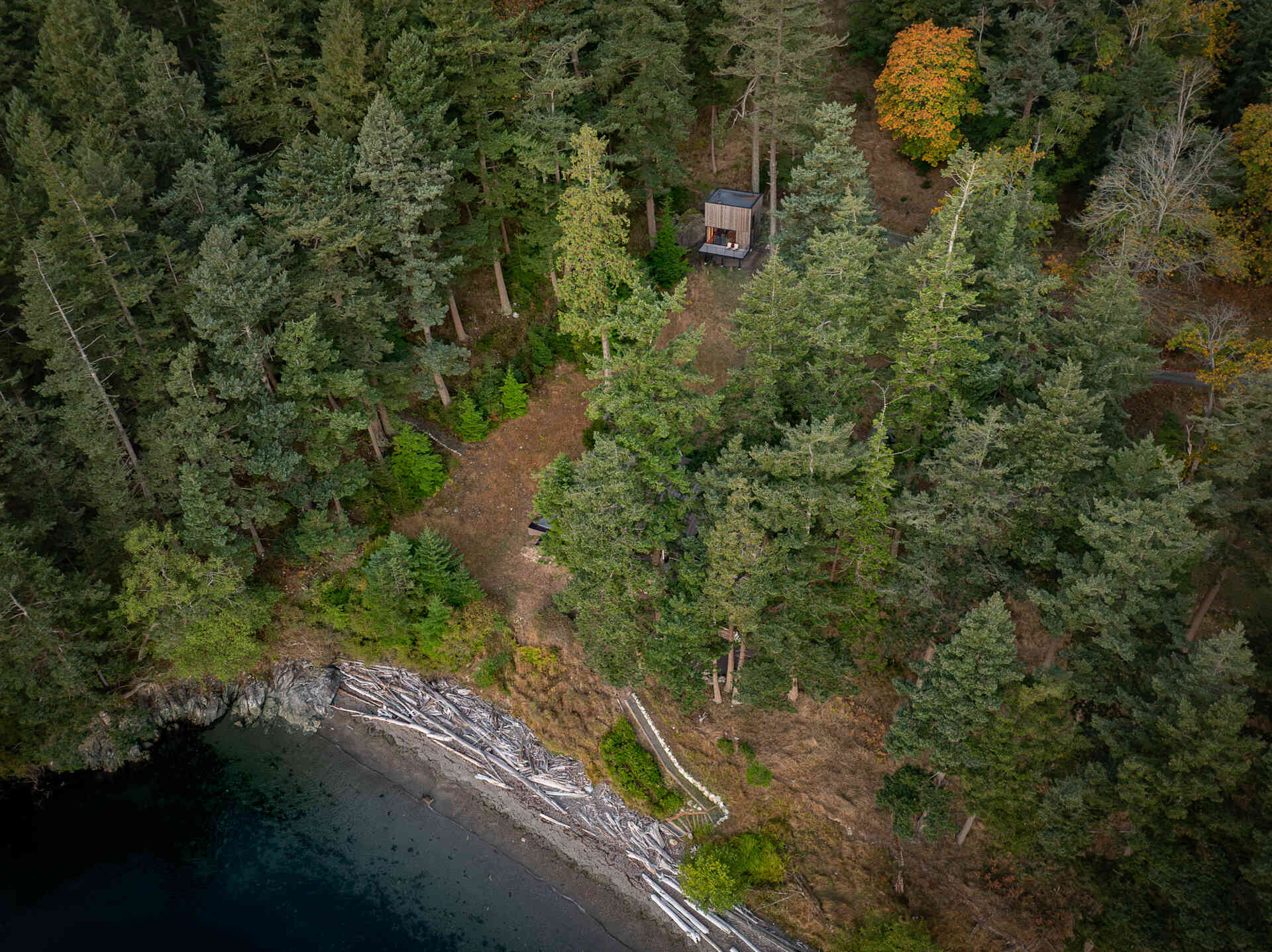 Explore the architecture of a 400-square-foot cabin suspended on stilts above the forest on Blakely Island, Washington, with a compact 16-by-20-foot footprint and expansive water views.