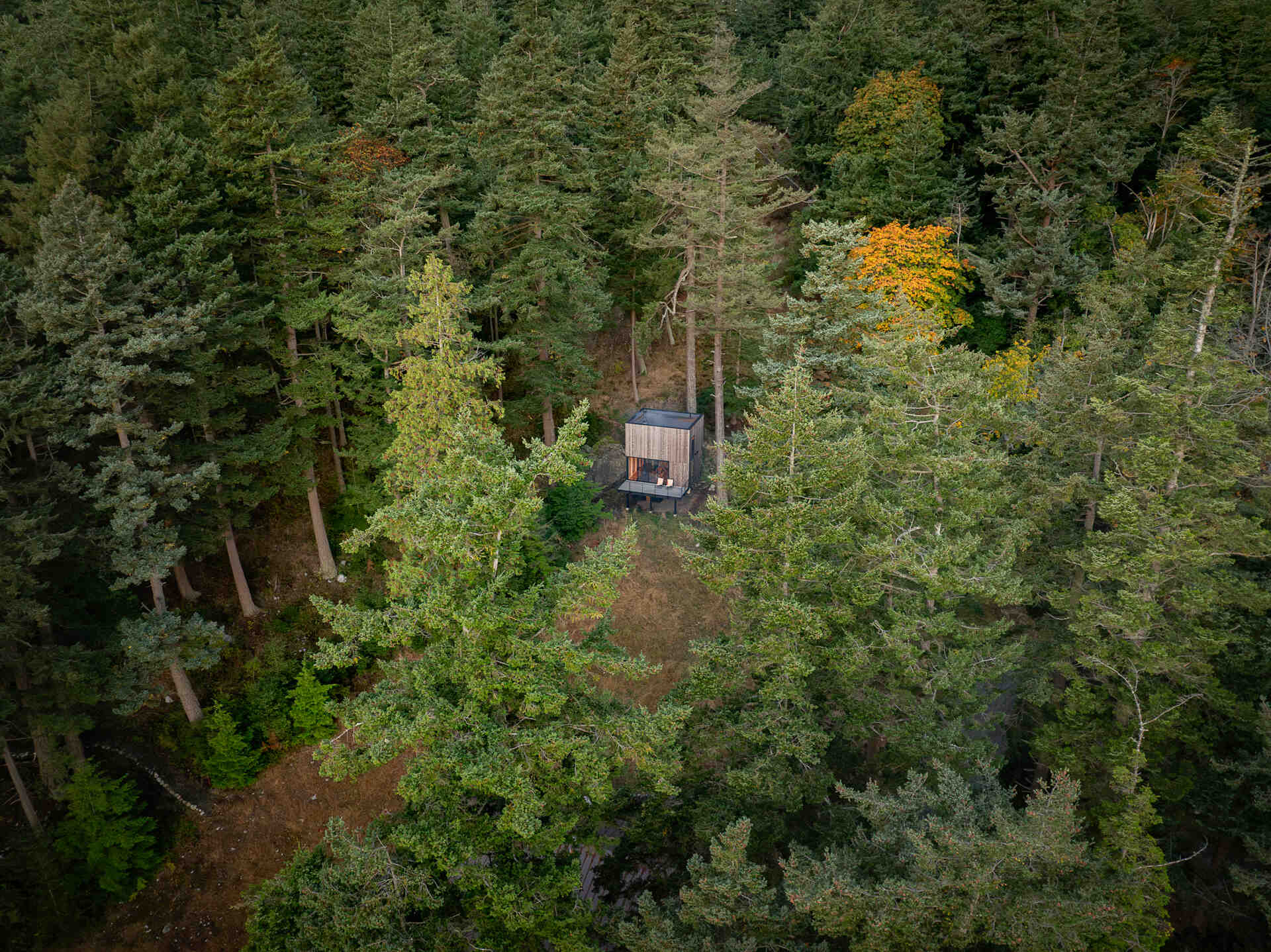 Explore the architecture of a 400-square-foot cabin suspended on stilts above the forest on Blakely Island, Washington, with a compact 16-by-20-foot footprint and expansive water views.