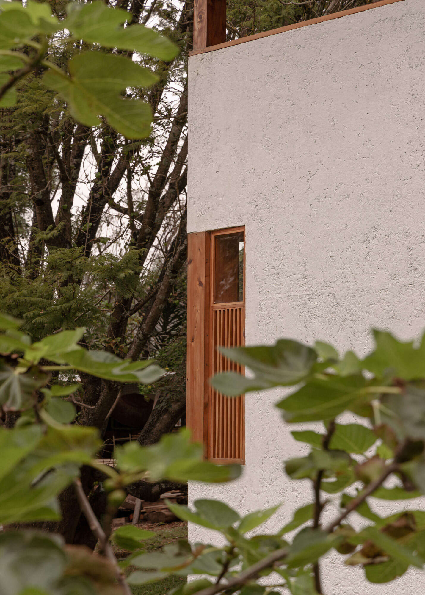Explore the architecture of Casa Amona in Chiapas, México: textured white walls, timber-framed windows, a clay tile roof and a sheltered outdoor space beneath the trees.