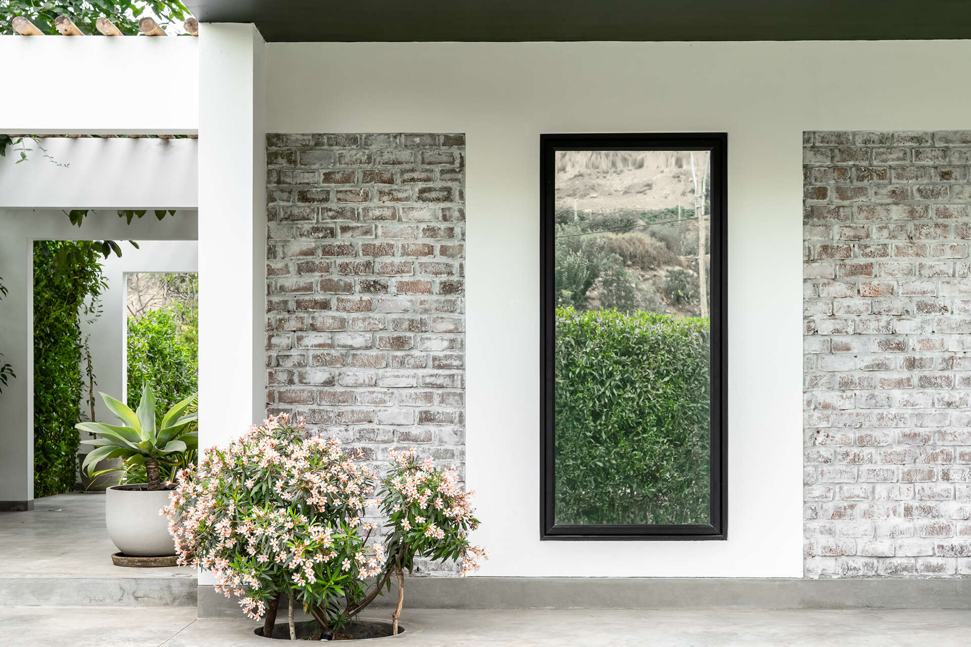 Tall black-framed windows line the white ground floor of Casa Berna in Peru, with ornamental grasses below and a dark upper volume rising behind them.