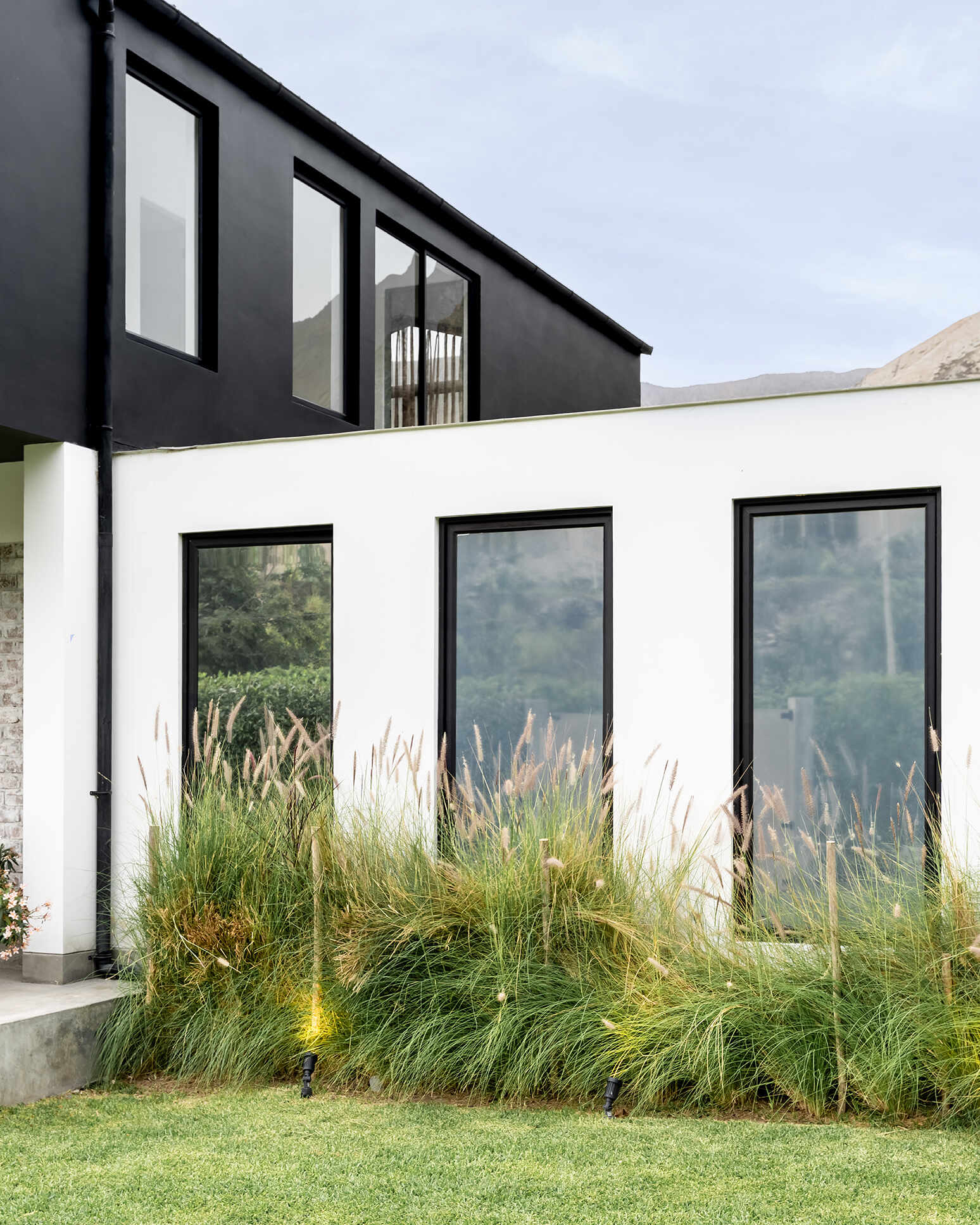 Tall black-framed windows line the white ground floor of Casa Berna in Peru, with ornamental grasses below and a dark upper volume rising behind them.