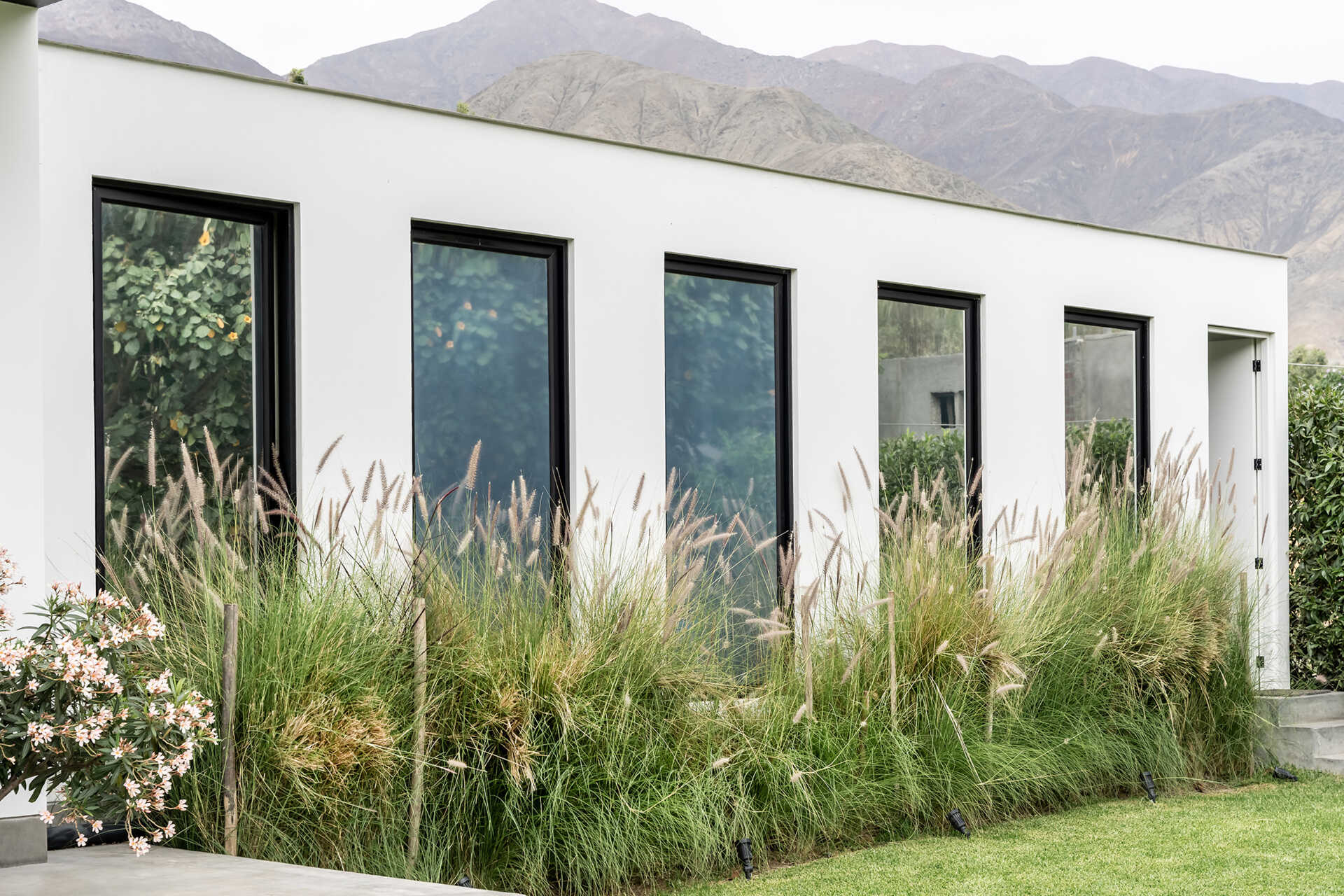 Tall black-framed windows line the white ground floor of Casa Berna in Peru, with ornamental grasses below and a dark upper volume rising behind them.