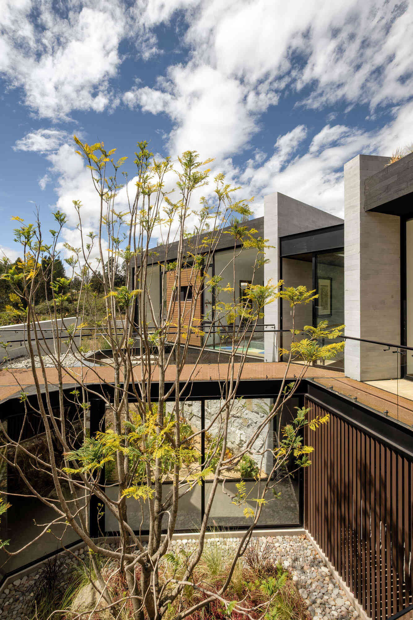 A glass hallway wraps around an open-air courtyard planted with a tall tree, ornamental grasses, and low red foliage. Timber ceilings, pale tiled floors, and upper walkways with glass balustrades bring garden views into the circulation spaces of this contemporary Ecuadorian home.