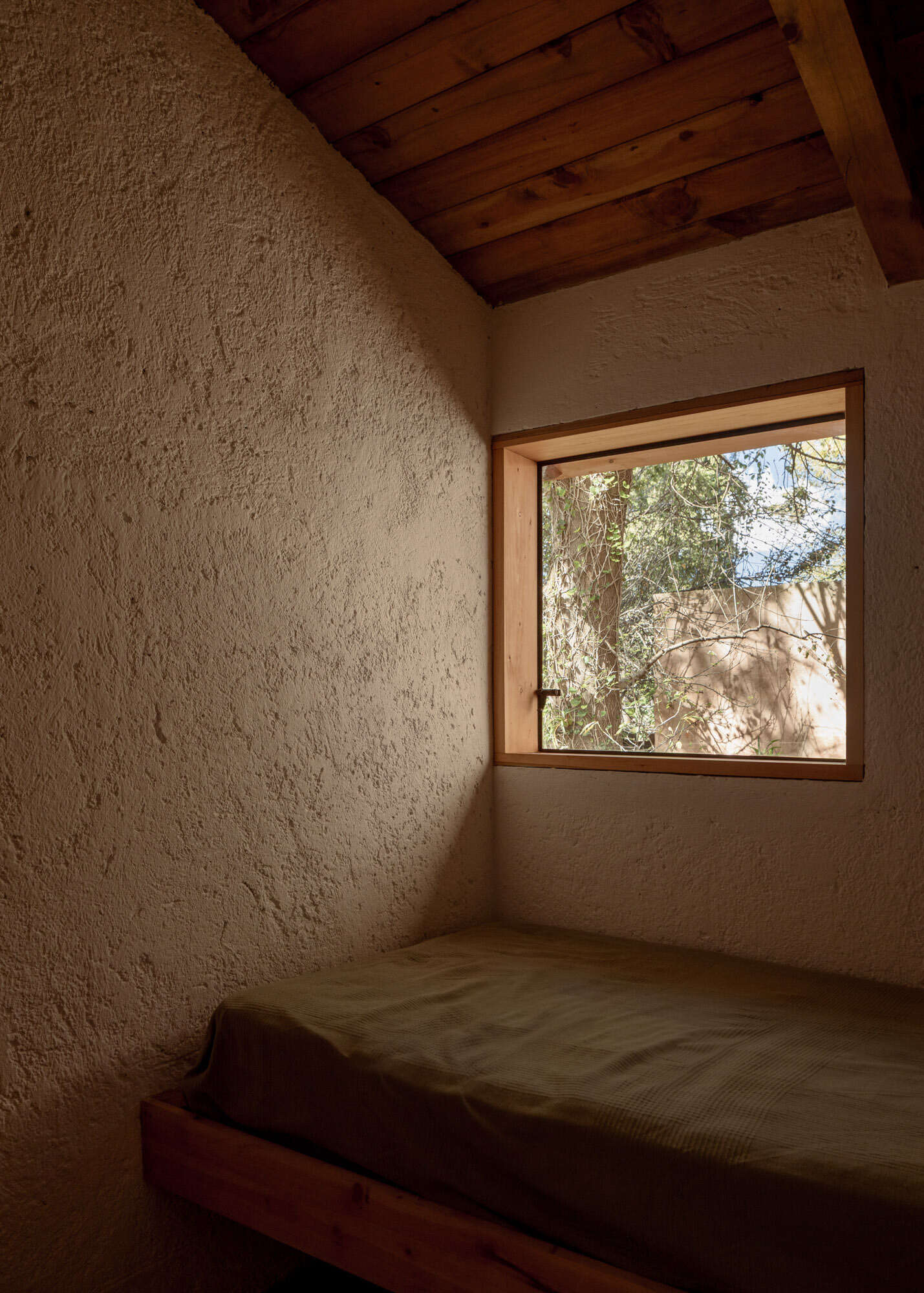 Casa Amona’s guest bedroom pairs textured walls and a timber ceiling with a wide window overlooking the courtyard trees.