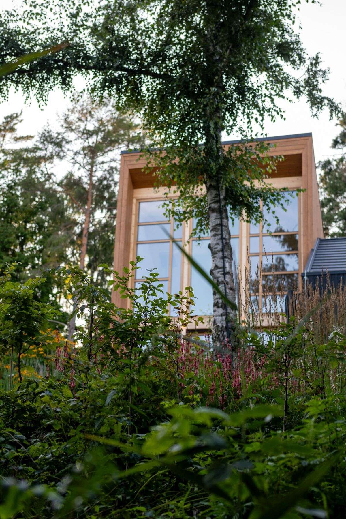 Discover how gardens at Kalbornia Mazury bring contemporary houses into a softer relationship with nature, maintaining open views of the lake, forest and surrounding scenery.