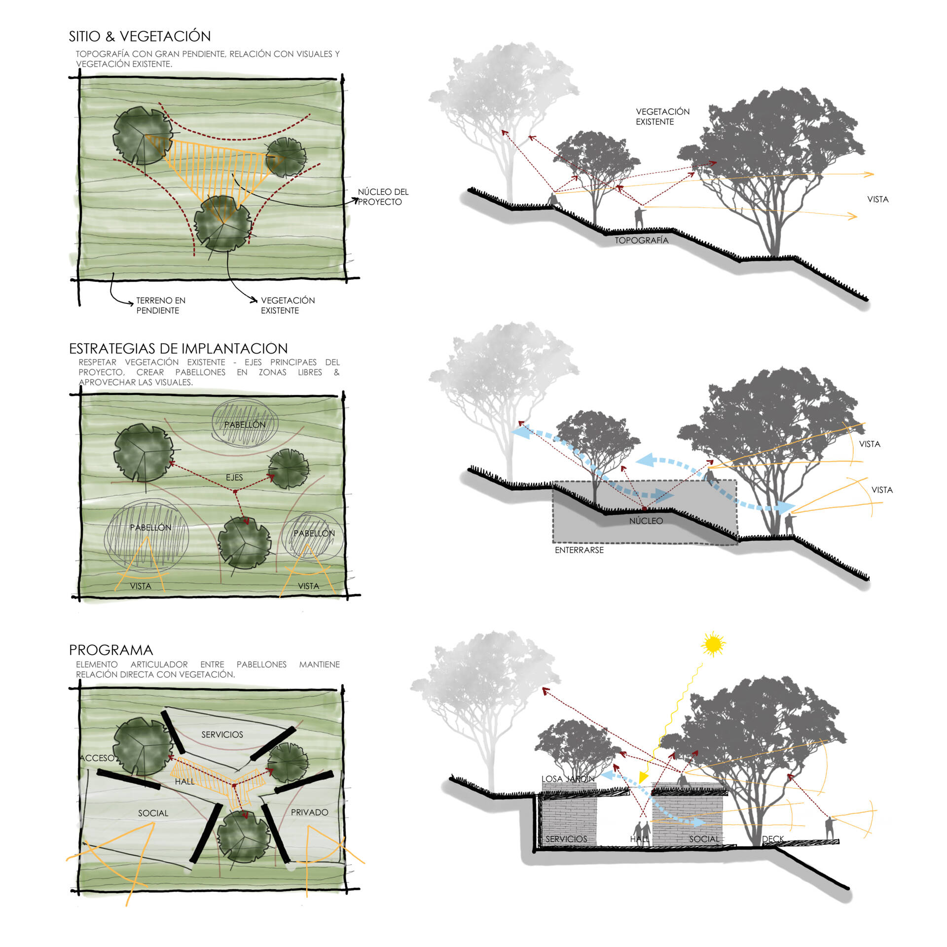Explore the architectural drawings for the Hidden Stone House and see how its geometry was developed around the existing trees and natural landscape.