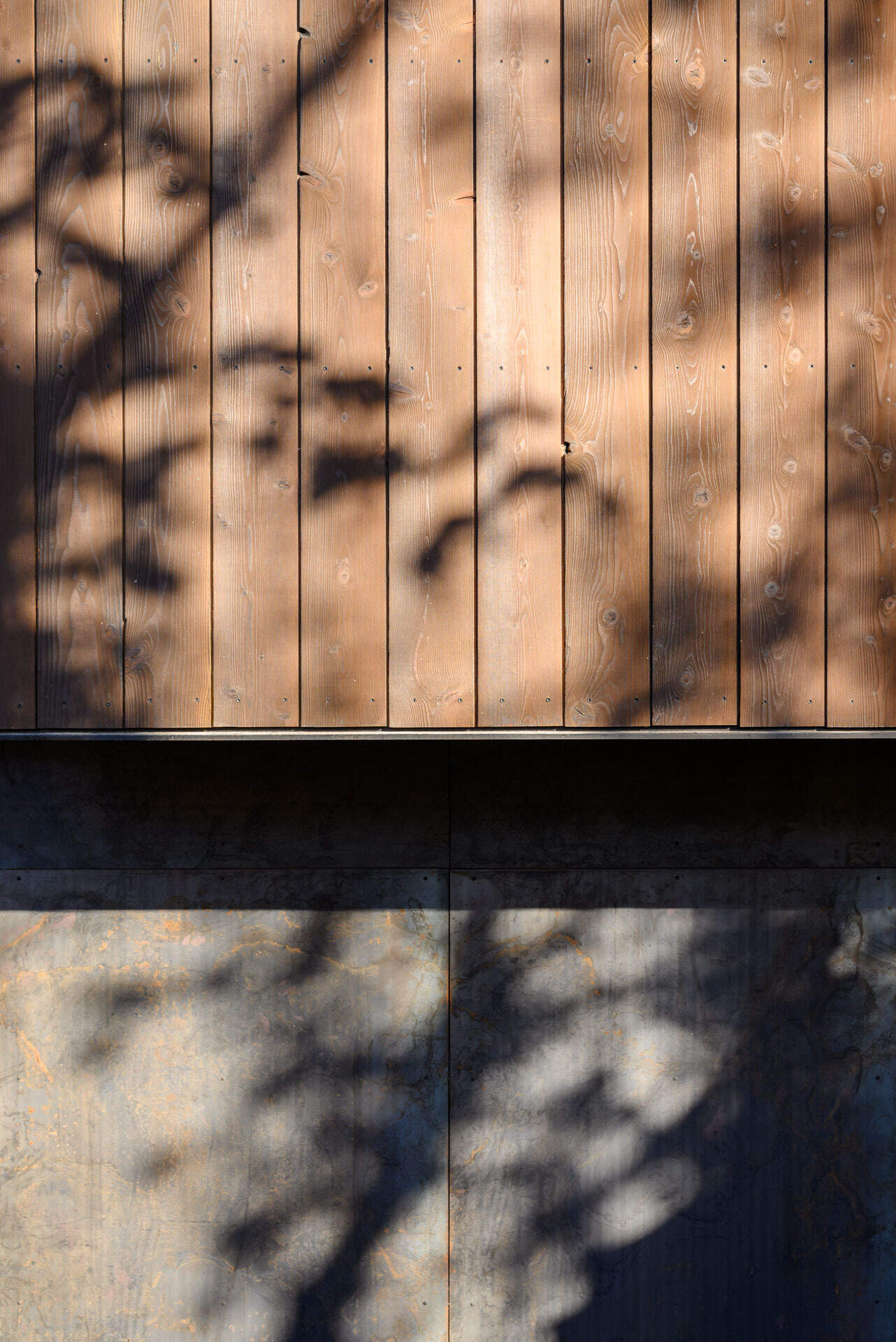 Charred wood siding, raw steel, and warm timber details create a timeless material palette that will naturally weather and develop character over time.