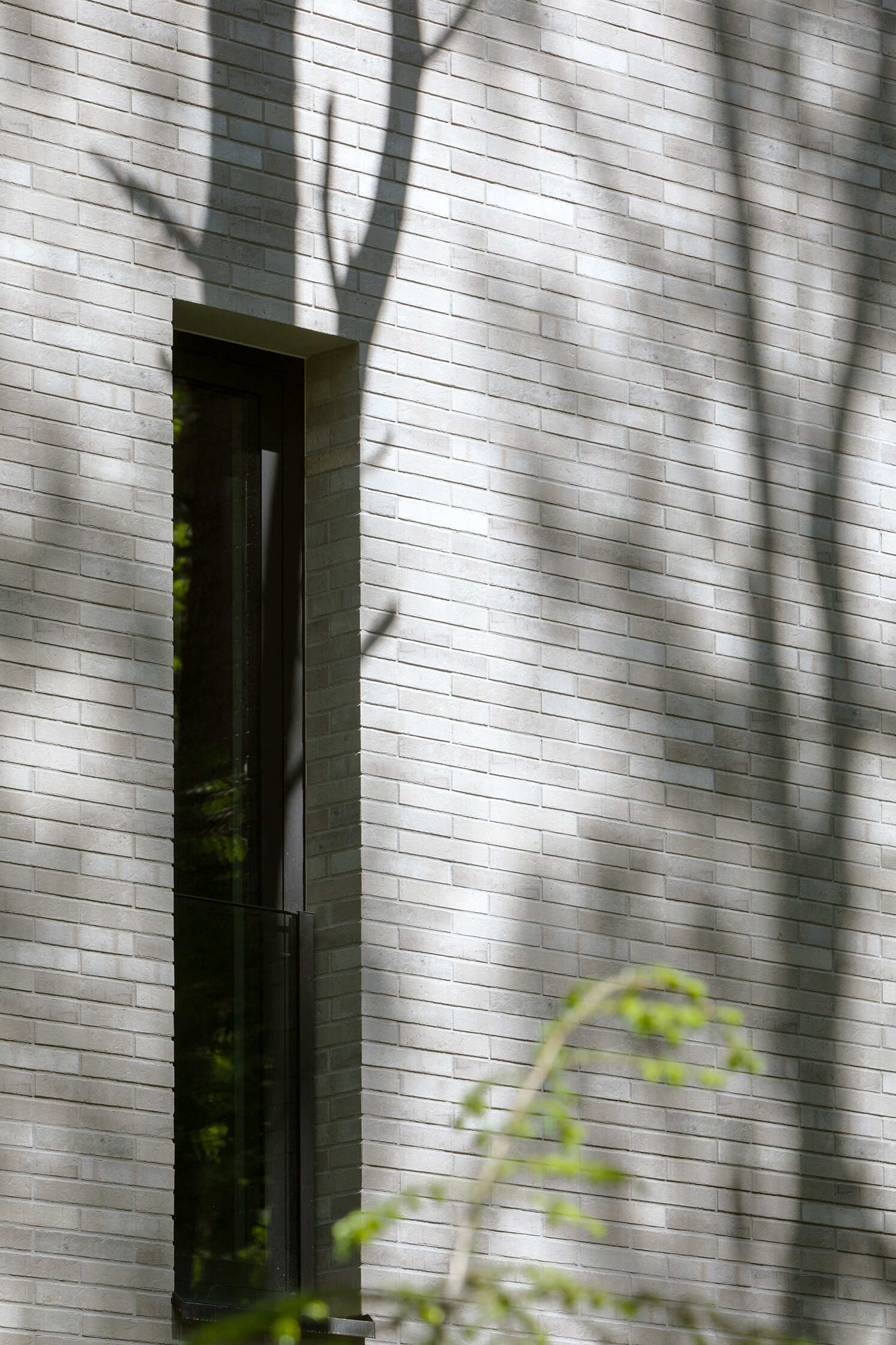 Dark vertical timber and light horizontal façade tiles distinguish the two intersecting volumes of The Intersecting House, creating a clear contrast across the contemporary forest home.