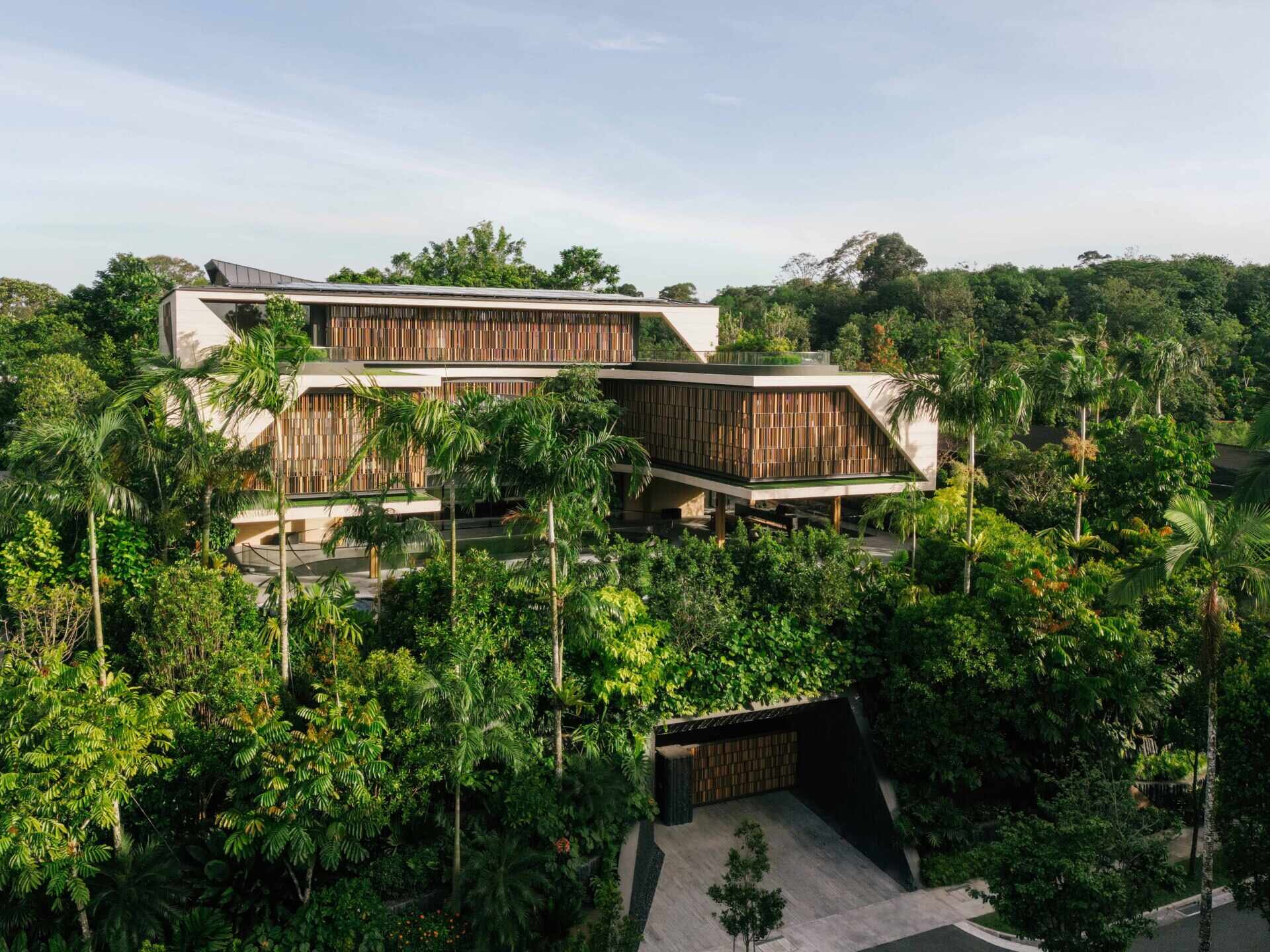 House Above The Trees by Wallflower Architecture + Design is a Singapore home shaped by water gardens, tall atriums, lush planting, filtered screens and views towards the surrounding forest.