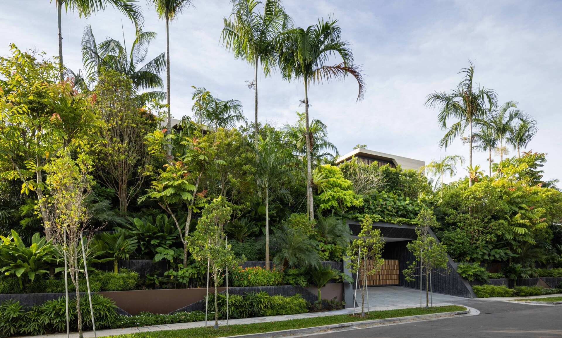 House Above The Trees by Wallflower Architecture + Design is a Singapore home shaped by water gardens, tall atriums, lush planting, filtered screens and views towards the surrounding forest.