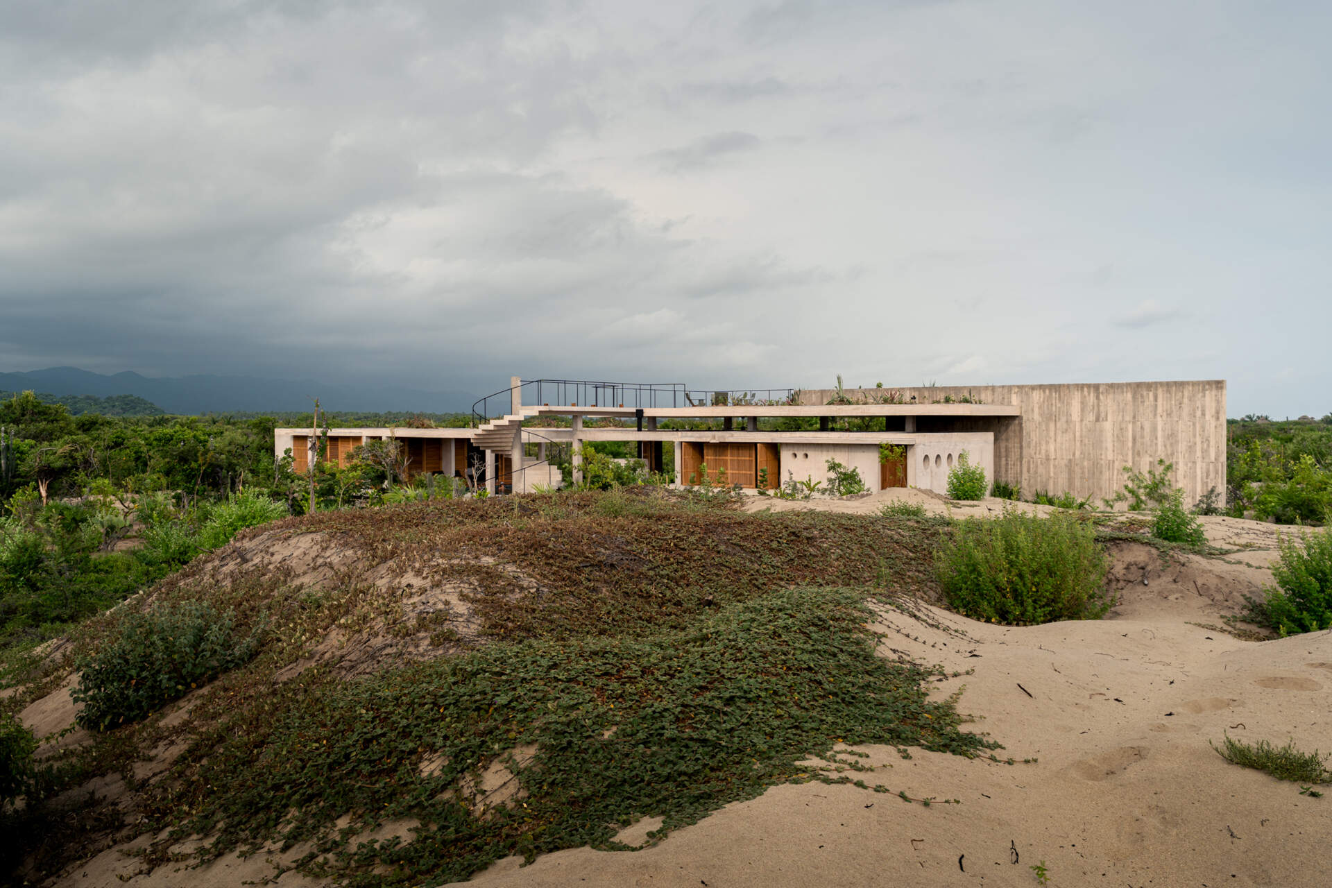 Casa Cieno uses a diagonal building layout to create green patios around the home, adding privacy while surrounding the architecture with lush vegetation.