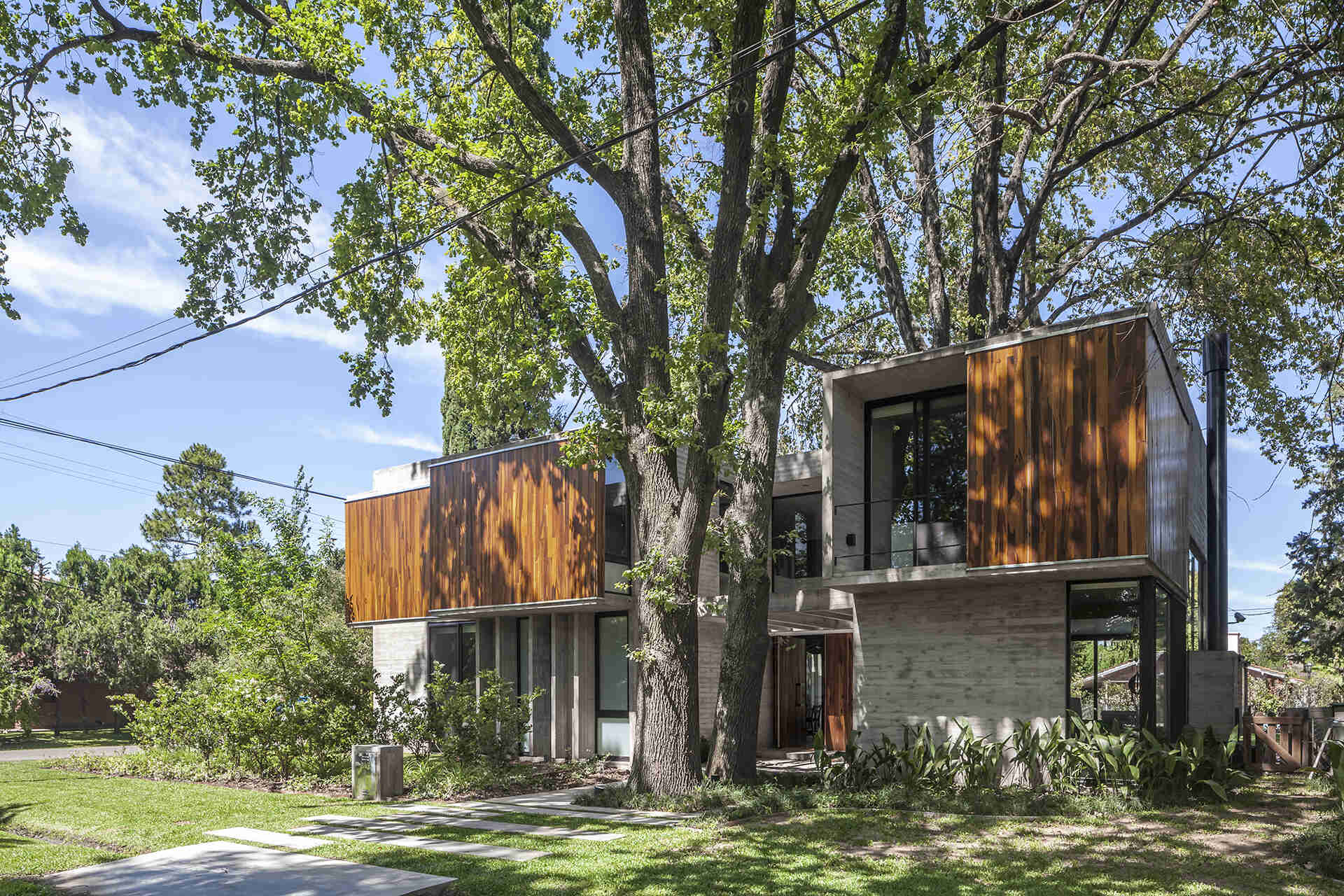Casa Aranzazu in Buenos Aires by Besonias Almeida arquitectos is a modern concrete and wood house designed around mature trees, with large windows and a leafy corner-lot setting.