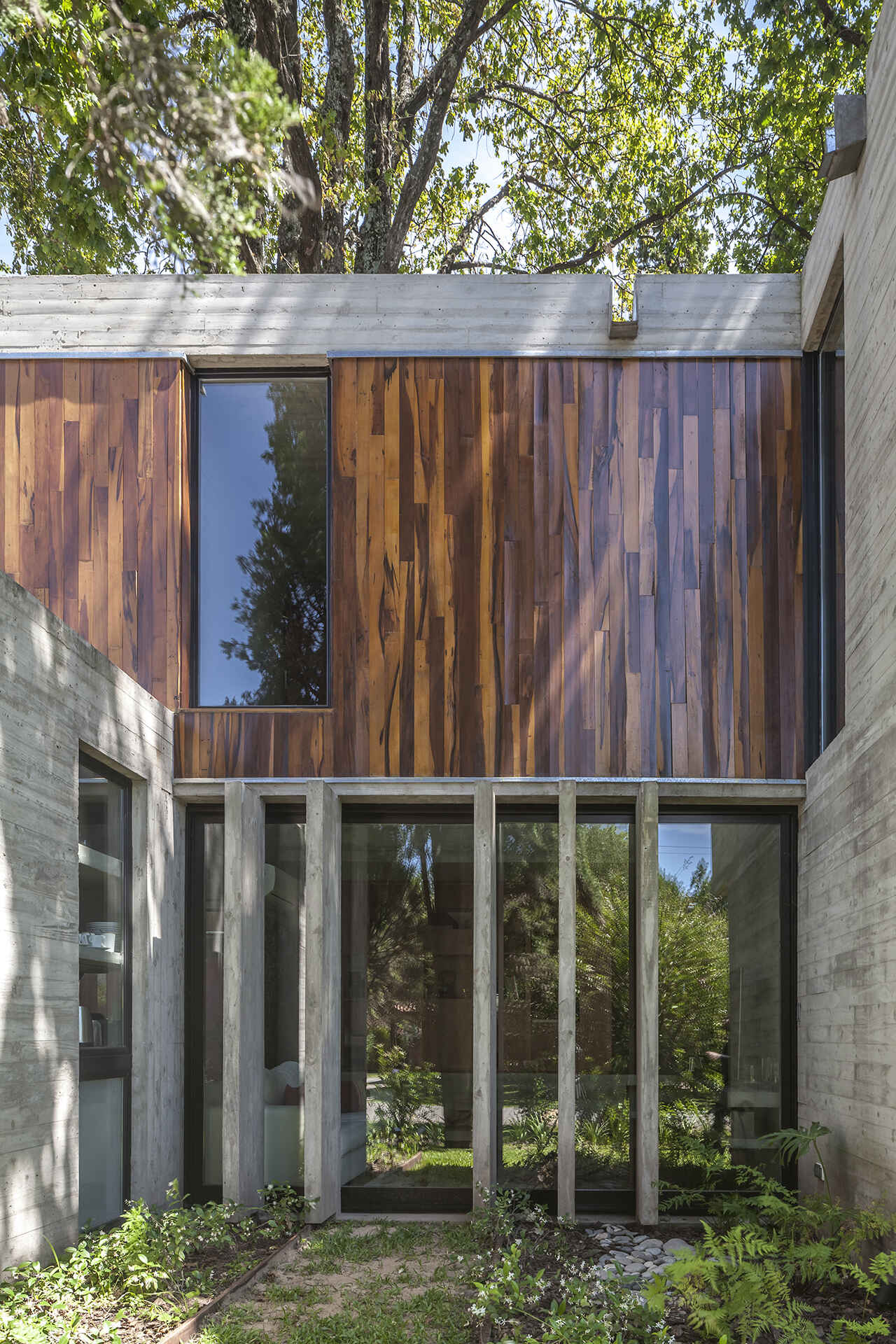 Casa Aranzazu in Buenos Aires by Besonias Almeida arquitectos is a modern concrete and wood house designed around mature trees, with large windows and a leafy corner-lot setting.
