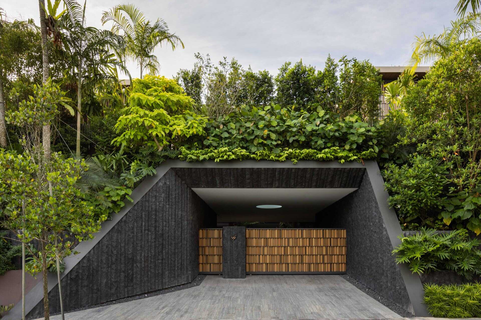 House Above The Trees by Wallflower Architecture + Design is a Singapore home shaped by water gardens, tall atriums, lush planting, filtered screens and views towards the surrounding forest.