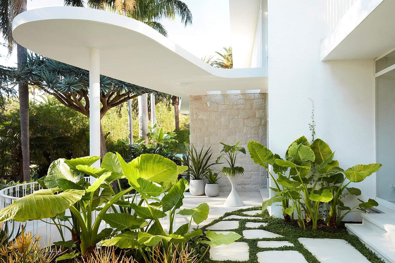 A sculptural curved concrete awning inspired by Oscar Niemeyer welcomes visitors to this Bellevue Hill modernist home, paired with a large white pivot front door.