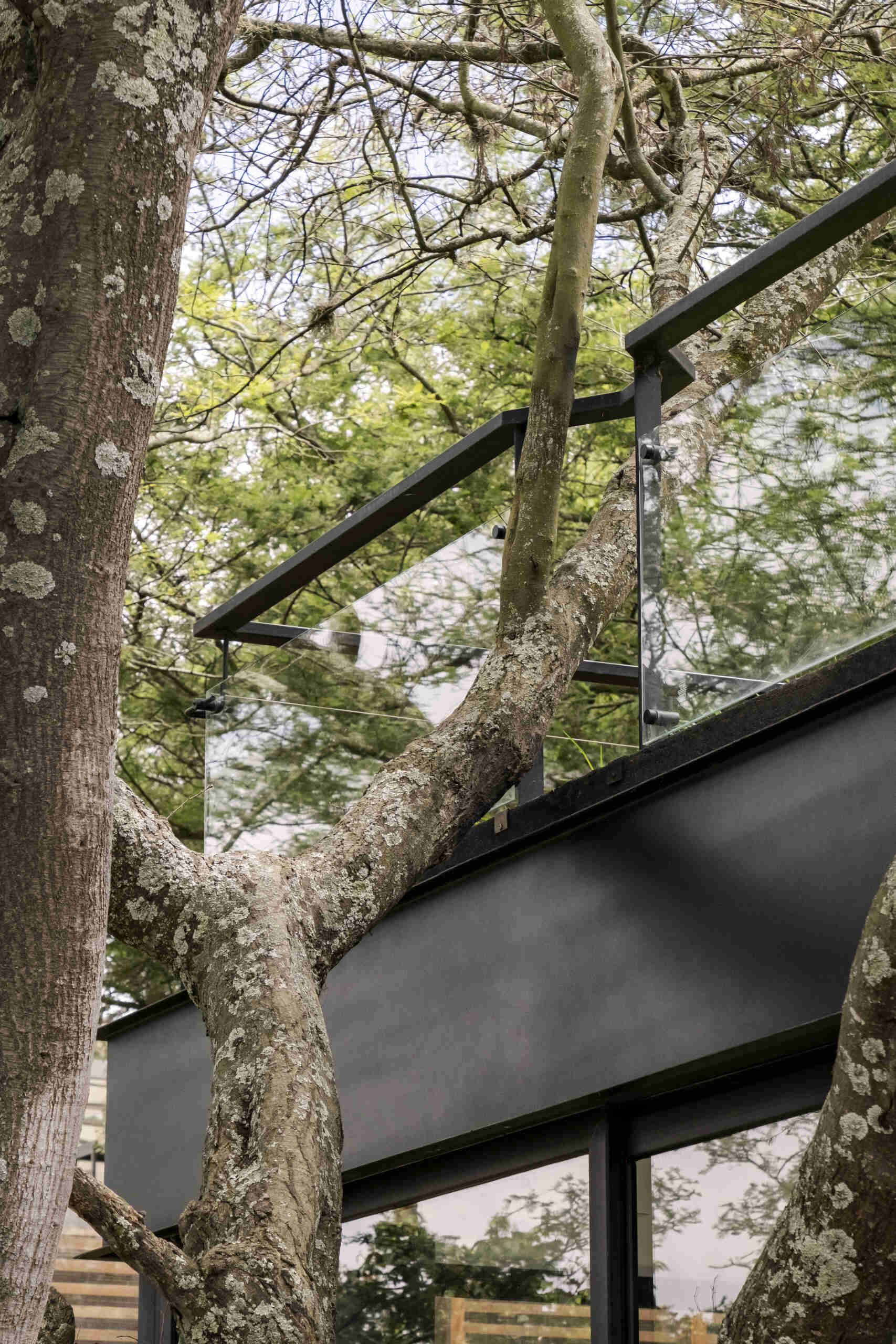 Discover the Hidden Stone House in Puembo, Ecuador, by A1 Arquitectura Avanzada, where biomimetic architecture brings the home and its existing trees together.