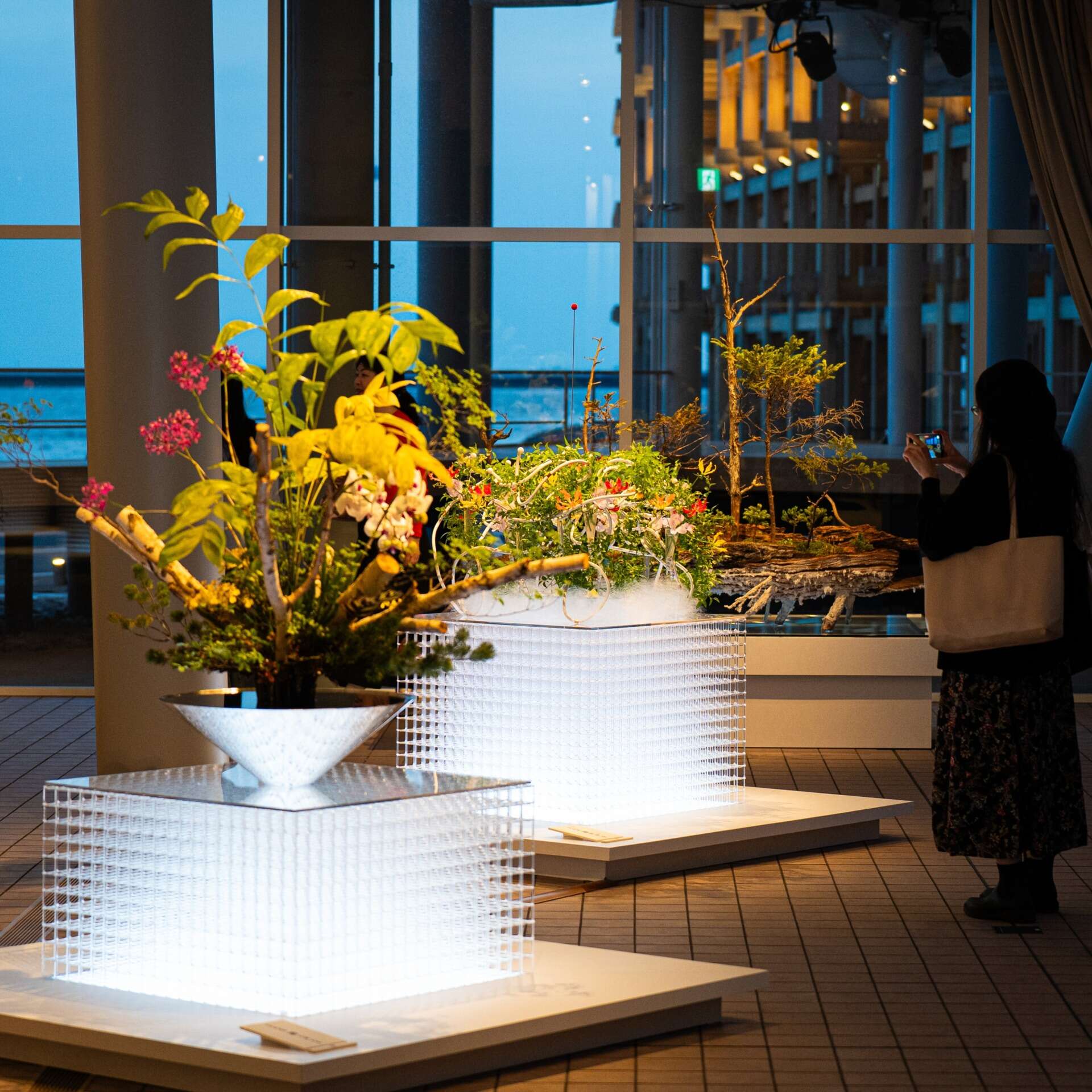 Transition Exhibition by Shuhei Matsuyama