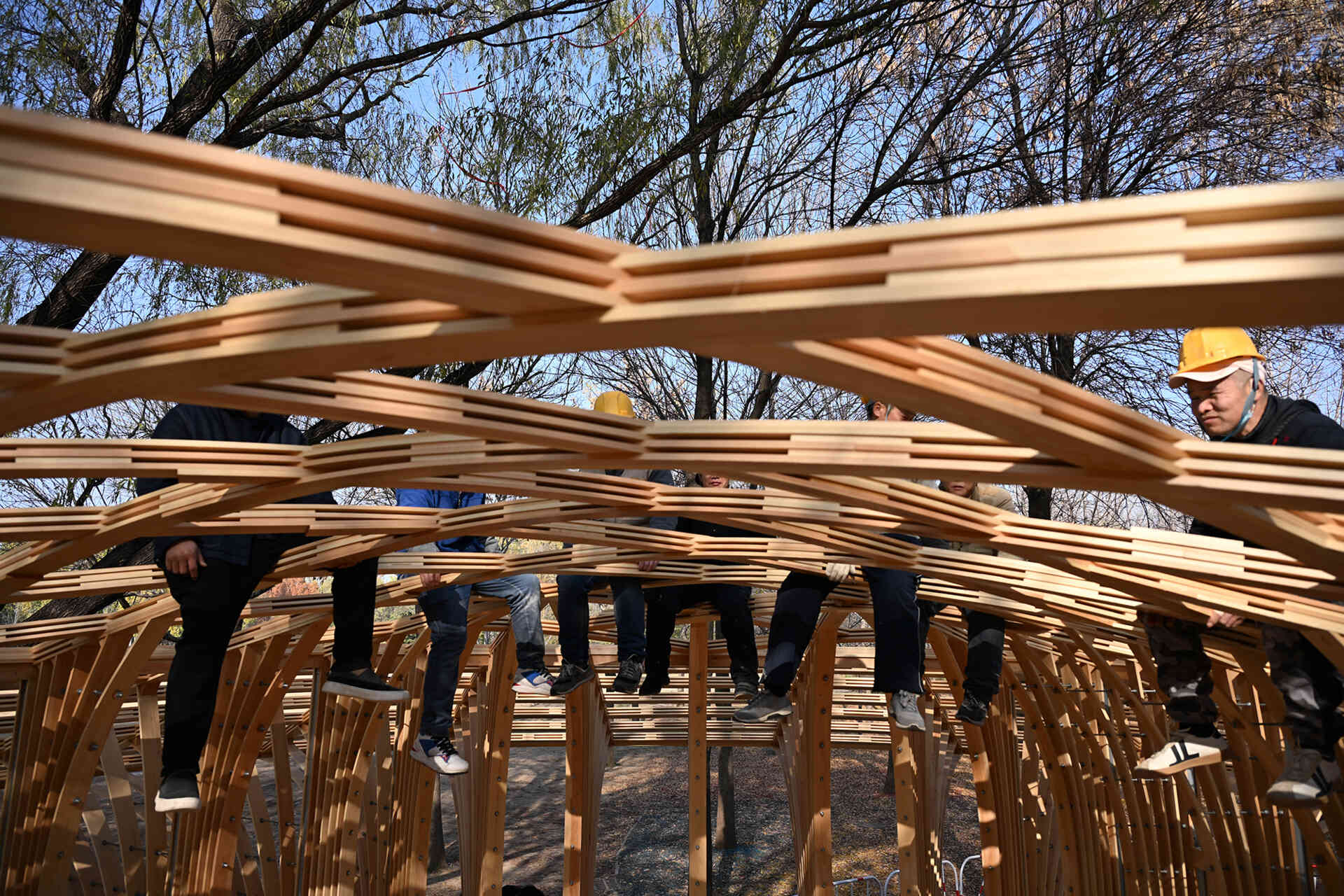 West Garden Florist by LUO studio is a mushroom-like timber florist pavilion tucked among the trees of Haidian Park in Beijing, with a planted roof and open canopy.