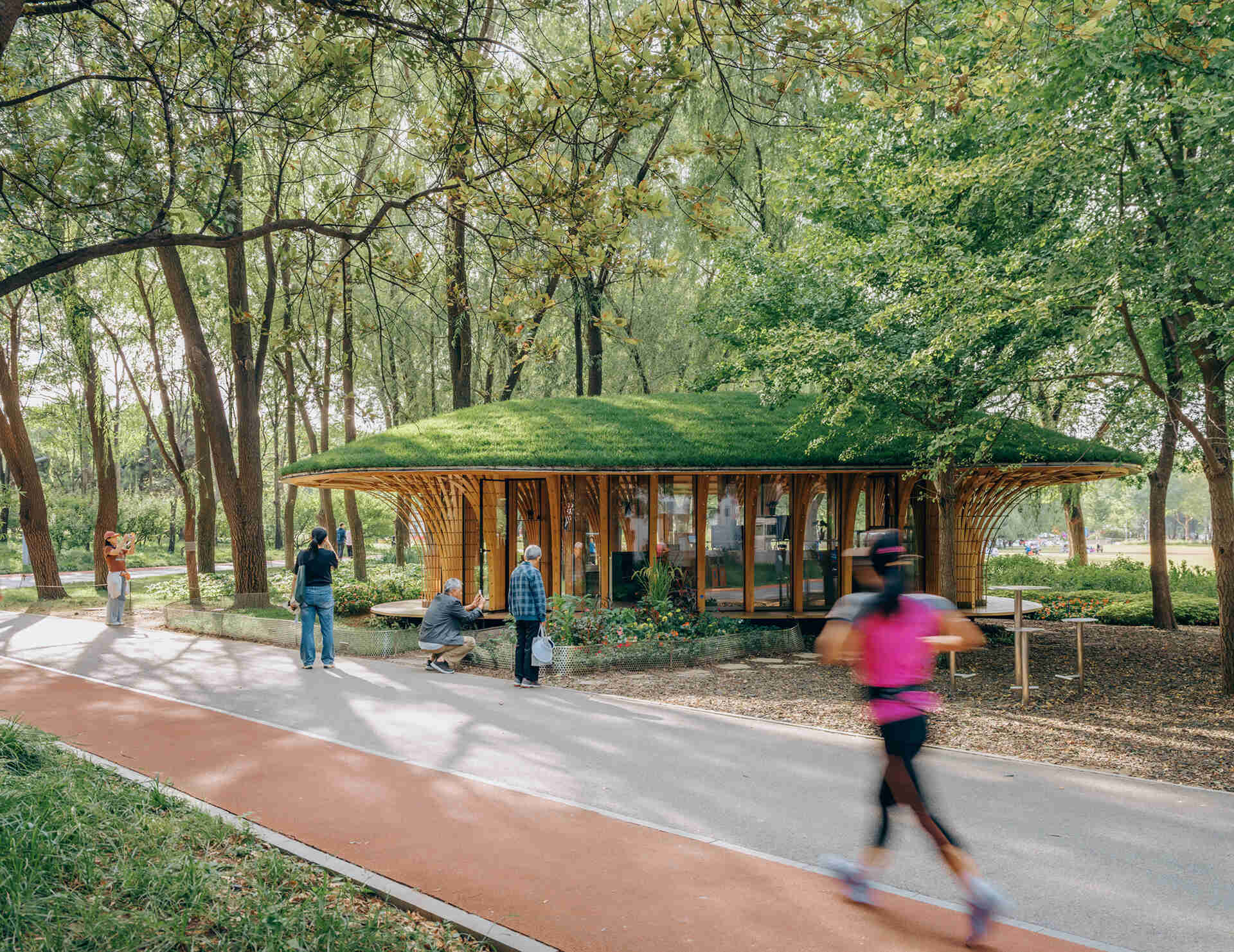 West Garden Florist by LUO studio is a mushroom-like timber florist pavilion tucked among the trees of Haidian Park in Beijing, with a planted roof and open canopy.