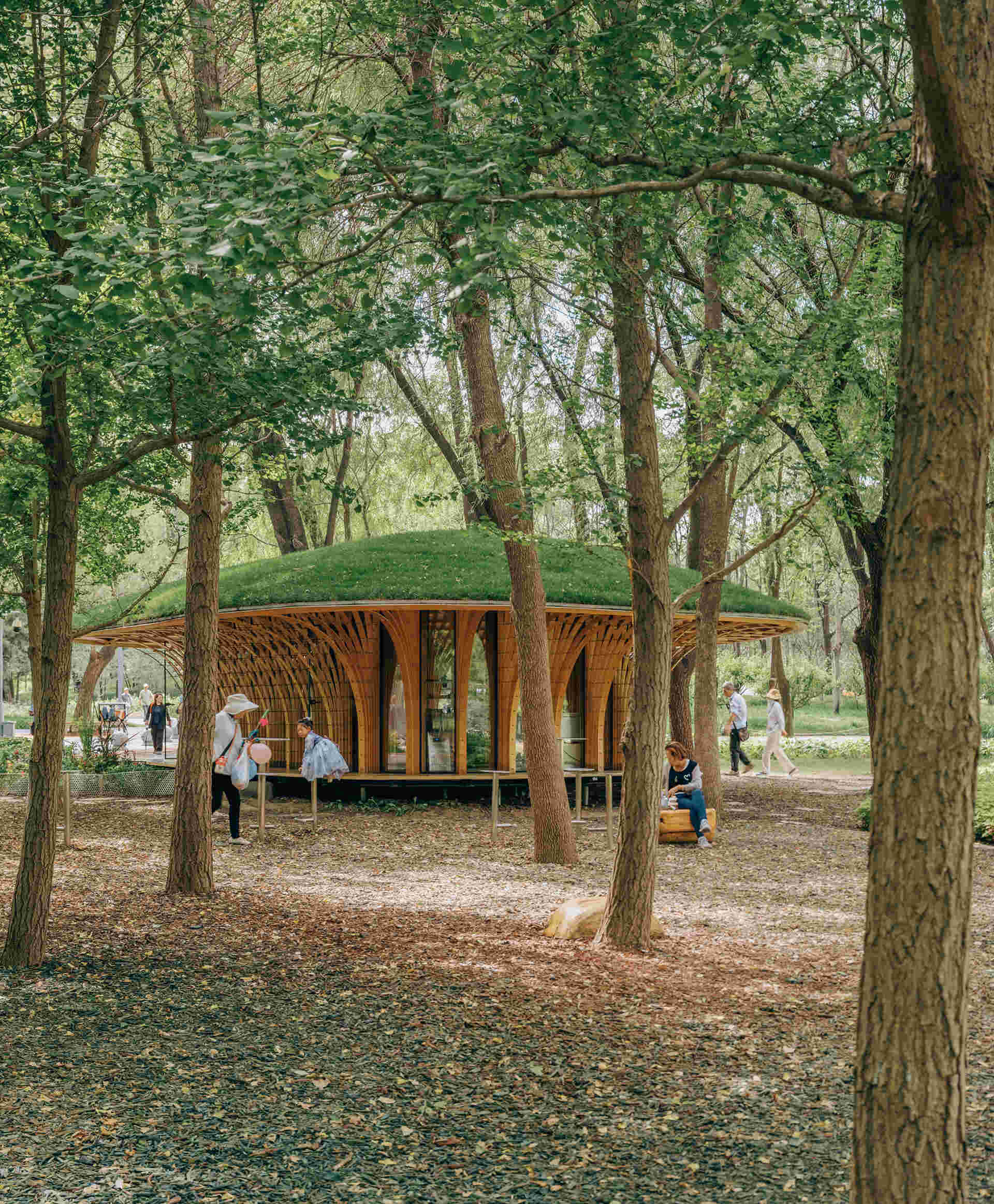 West Garden Florist by LUO studio is a mushroom-like timber florist pavilion tucked among the trees of Haidian Park in Beijing, with a planted roof and open canopy.