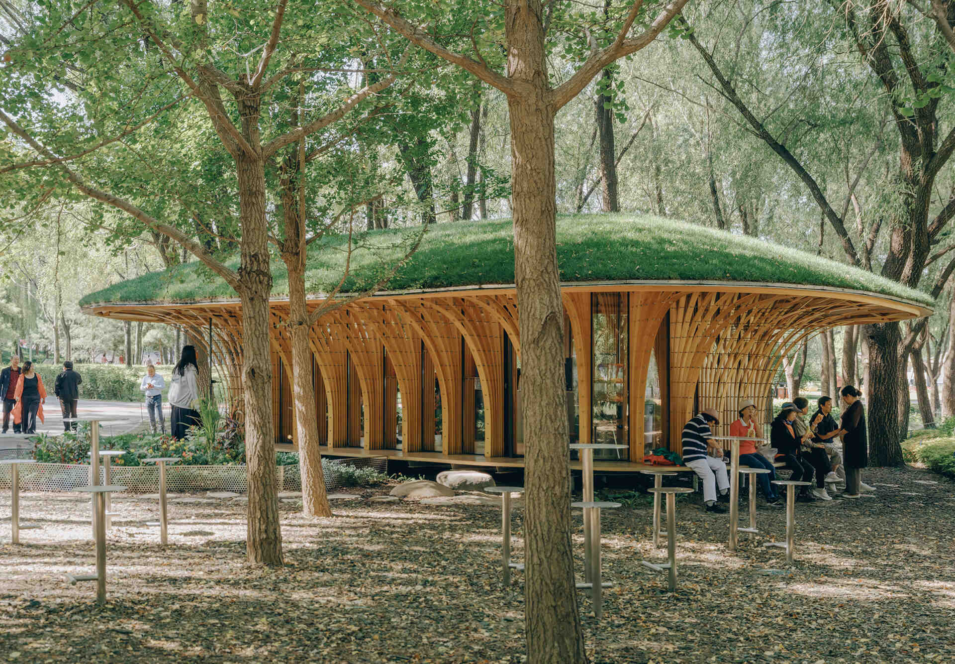 West Garden Florist by LUO studio is a mushroom-like timber florist pavilion tucked among the trees of Haidian Park in Beijing, with a planted roof and open canopy.