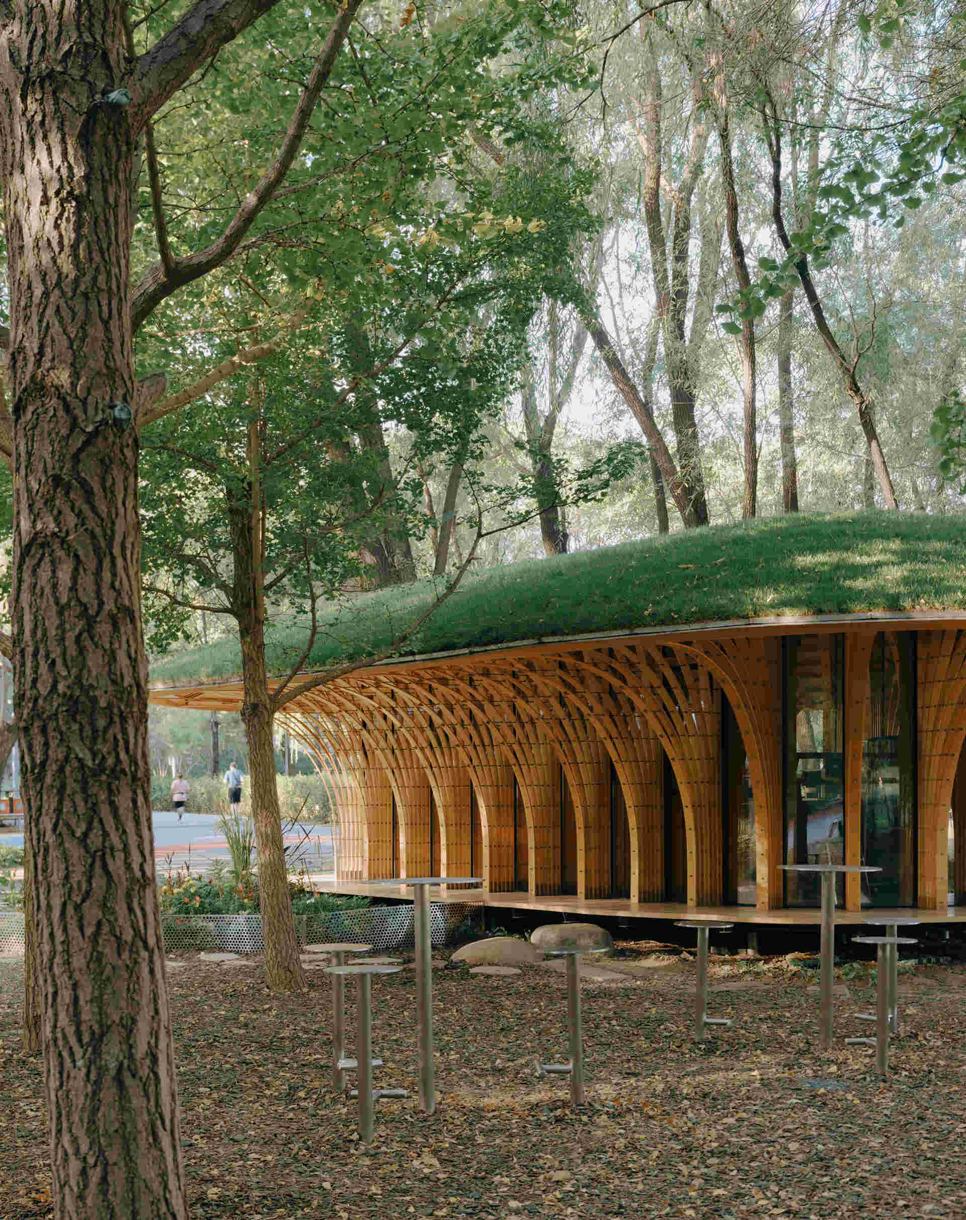 West Garden Florist by LUO studio is a mushroom-like timber florist pavilion tucked among the trees of Haidian Park in Beijing, with a planted roof and open canopy.