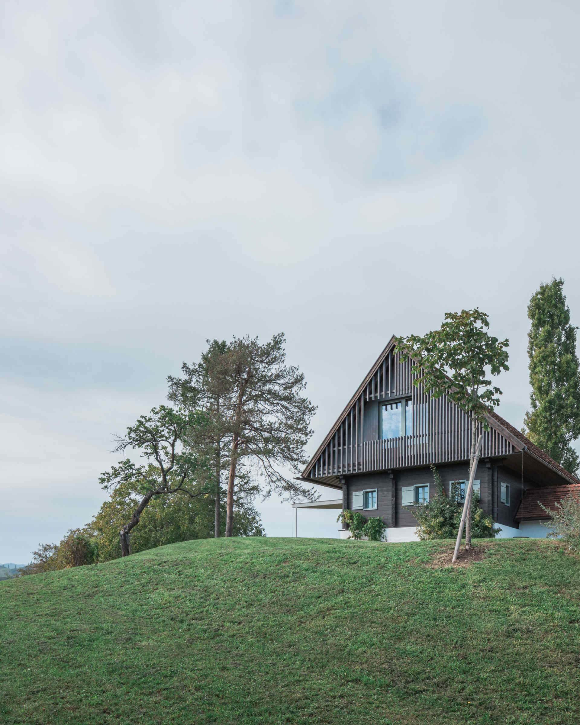 Traditional farmhouse architecture meets contemporary design in this Austrian home renovation, featuring timber screens, a pitched tile roof, modern glazing, and countryside views.