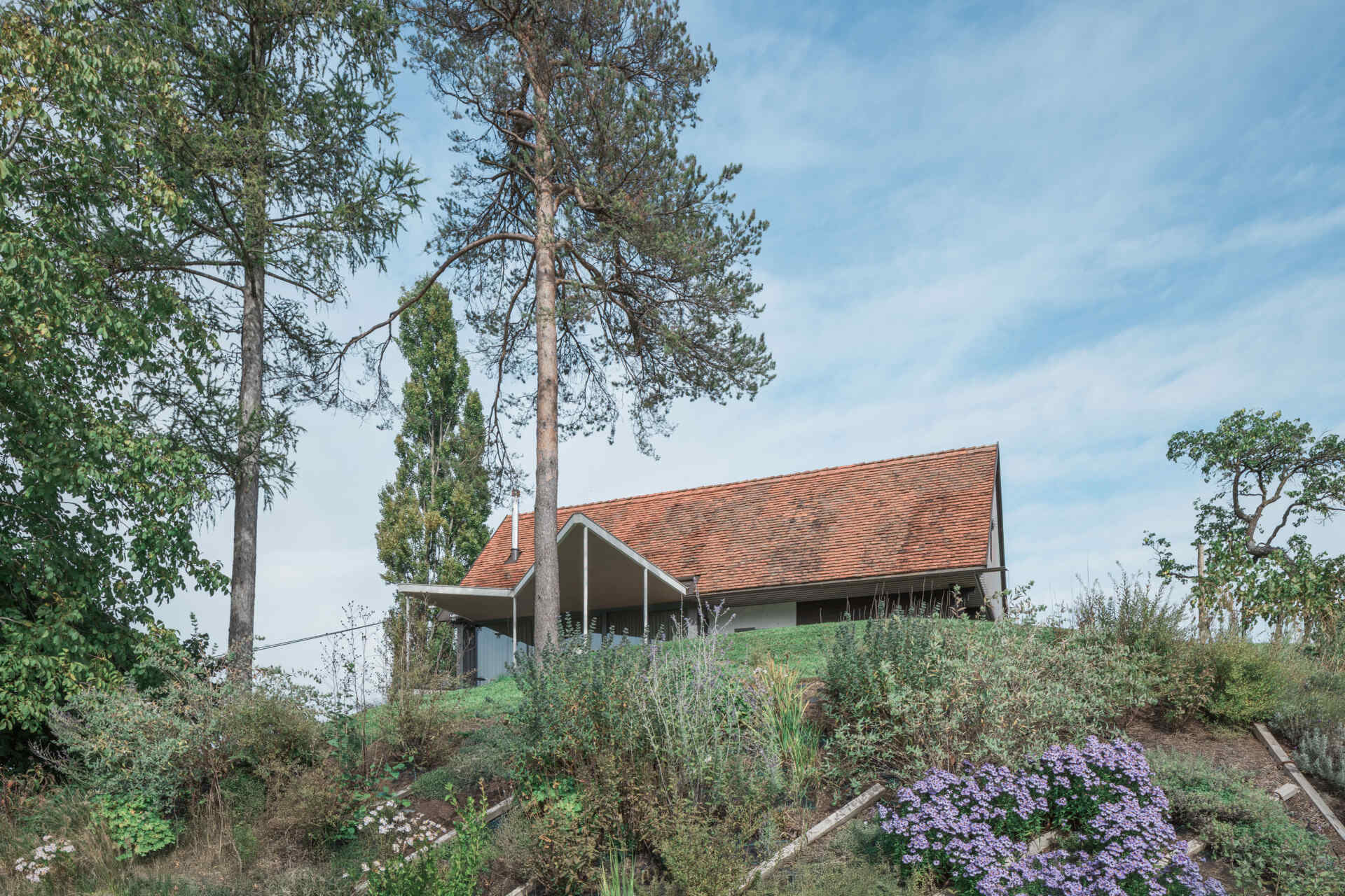 Traditional farmhouse architecture meets contemporary design in this Austrian home renovation, featuring timber screens, a pitched tile roof, modern glazing, and countryside views.