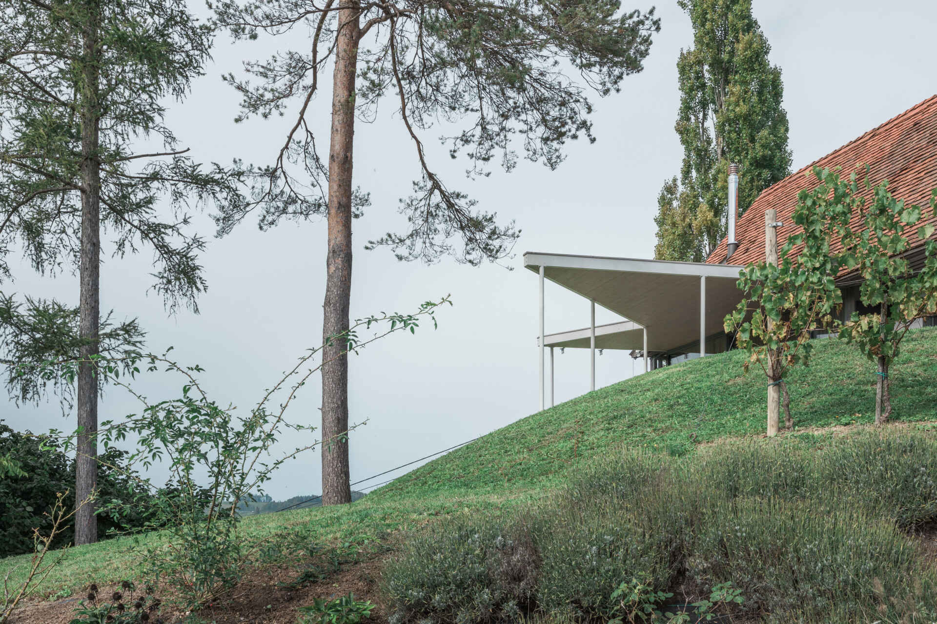Traditional farmhouse architecture meets contemporary design in this Austrian home renovation, featuring timber screens, a pitched tile roof, modern glazing, and countryside views.