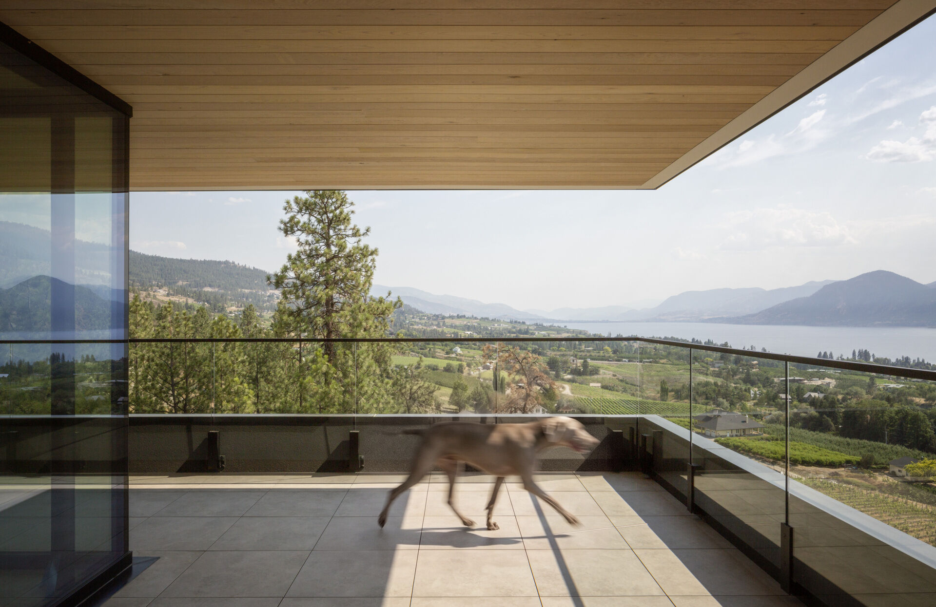 A spacious covered balcony overlooks Okanagan Lake, vineyards, and the surrounding mountains. Glass railings and a wood-lined roof frame the valley views, with a dog walking across the sunlit tiled terrace.
