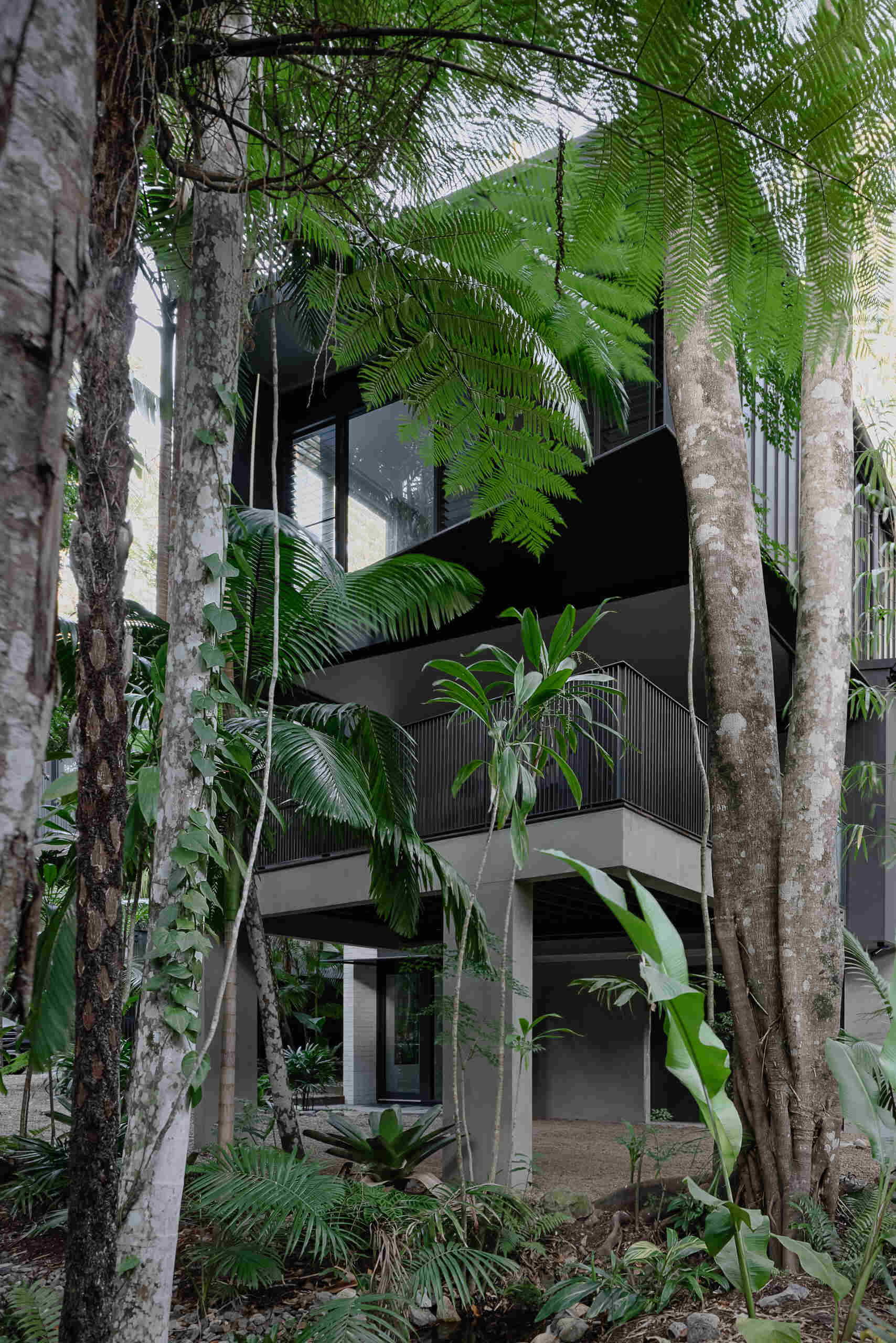 Explore the architecture of Raintree in Noosa Heads, Australia, designed by Void Building Design. Black vertical screens, natural stone walls, timber walkways, and lush rainforest vegetation define this contemporary coastal home.