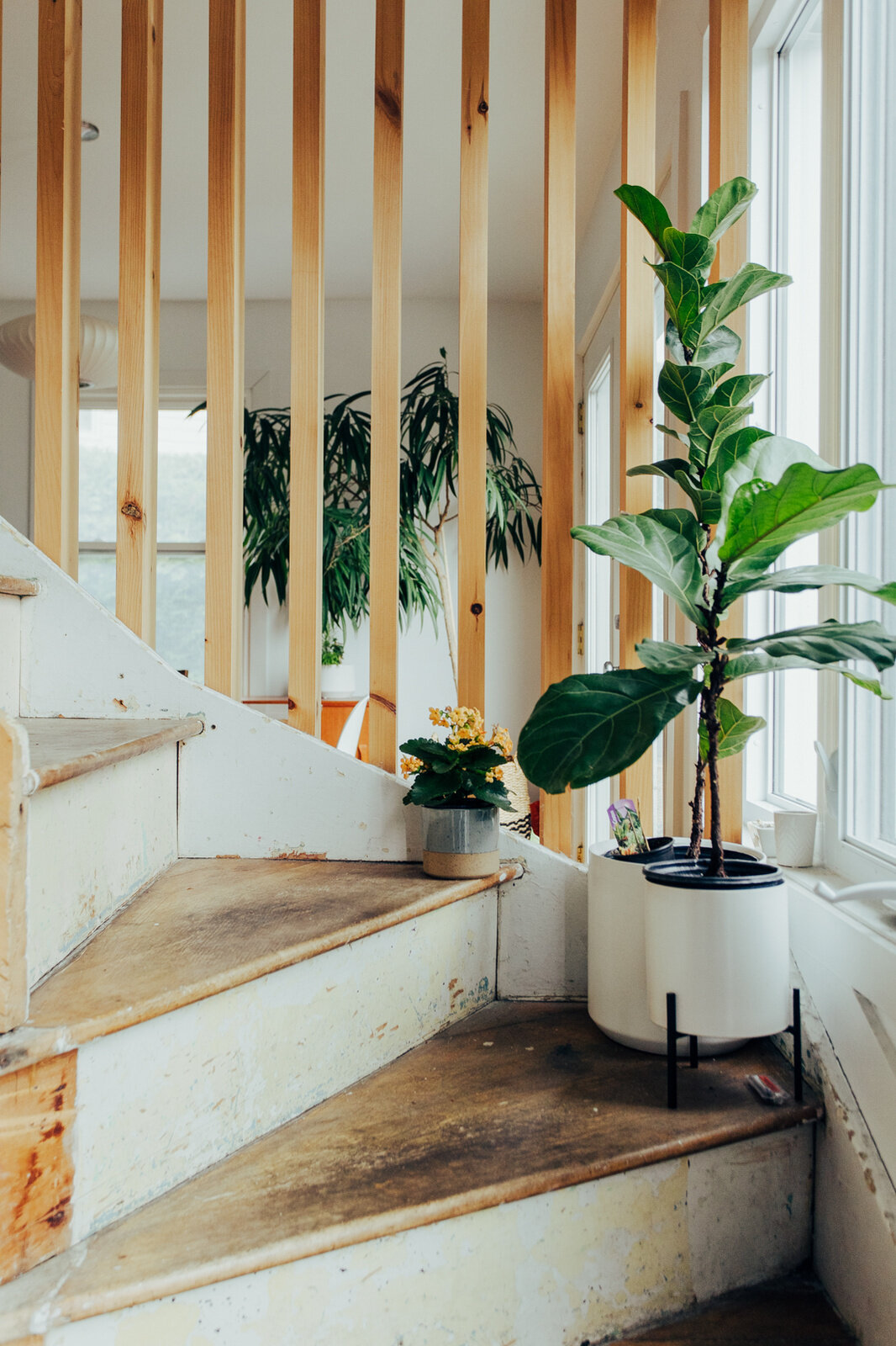 An original wooden staircase becomes an architectural feature in this renovated home, with weathered steps, new timber slat railings, tall white walls, and natural light.