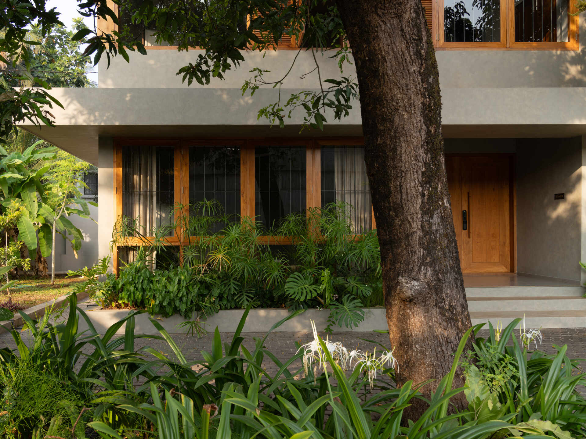 Explore House Beyond the Mango Trees, a contemporary home in Kannur, India, designed by inLe architects around two mature mango trees.